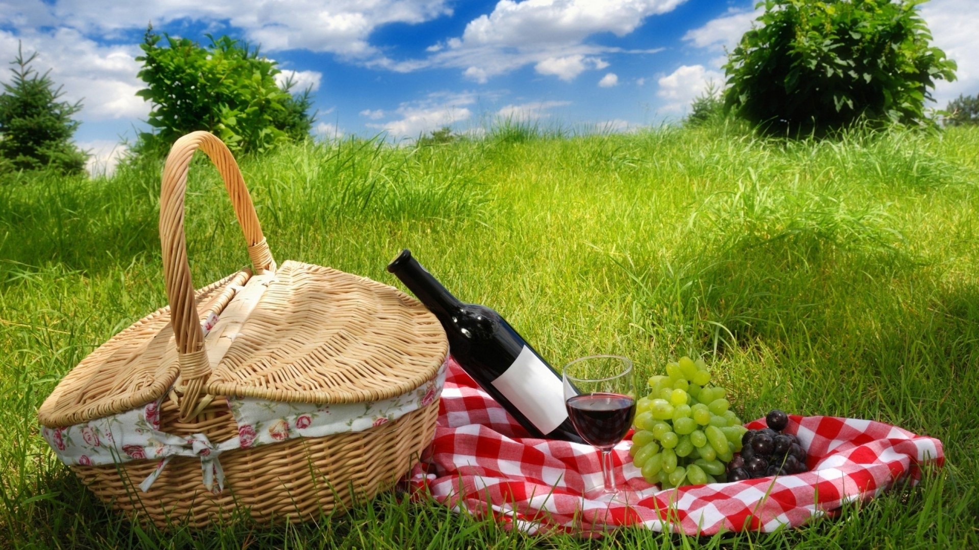 Picnic basket with wine and grapes on grass HD Wallpaper
