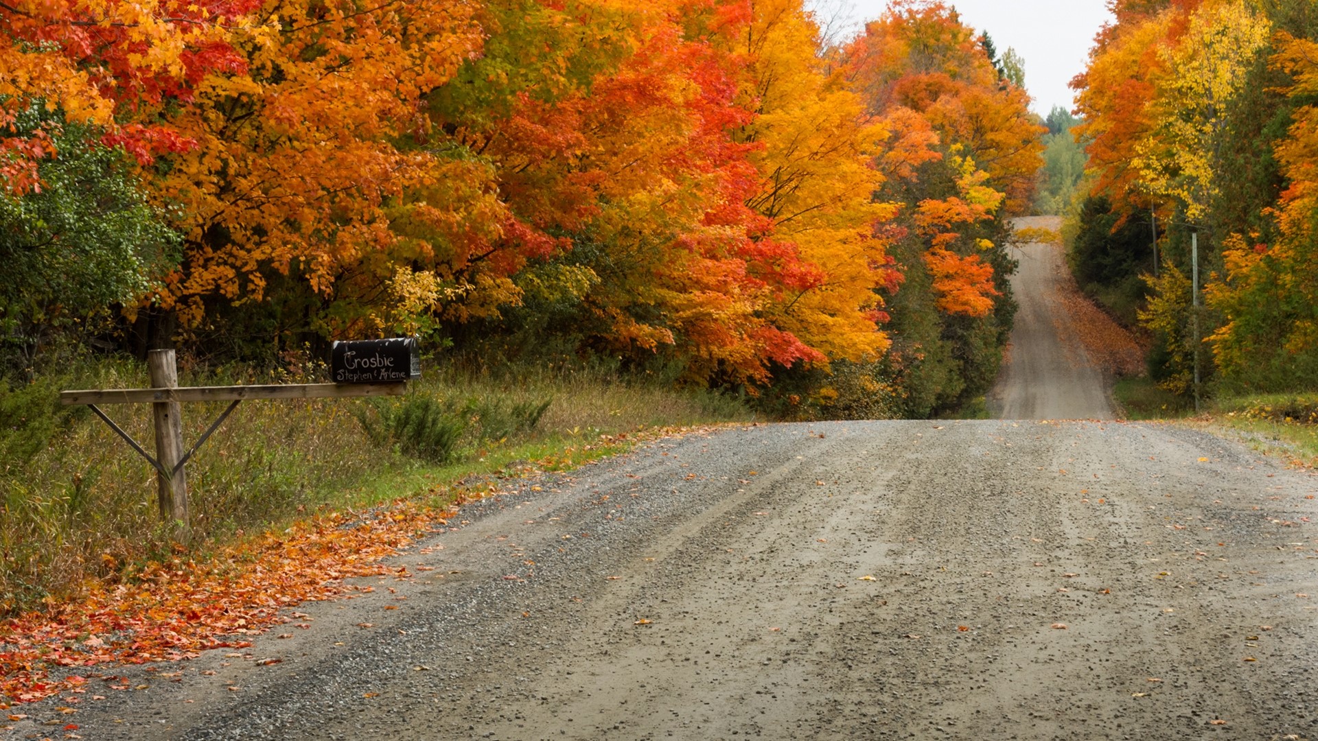 Autumn Road with Colorful Trees and Mailbox HD Wallpaper