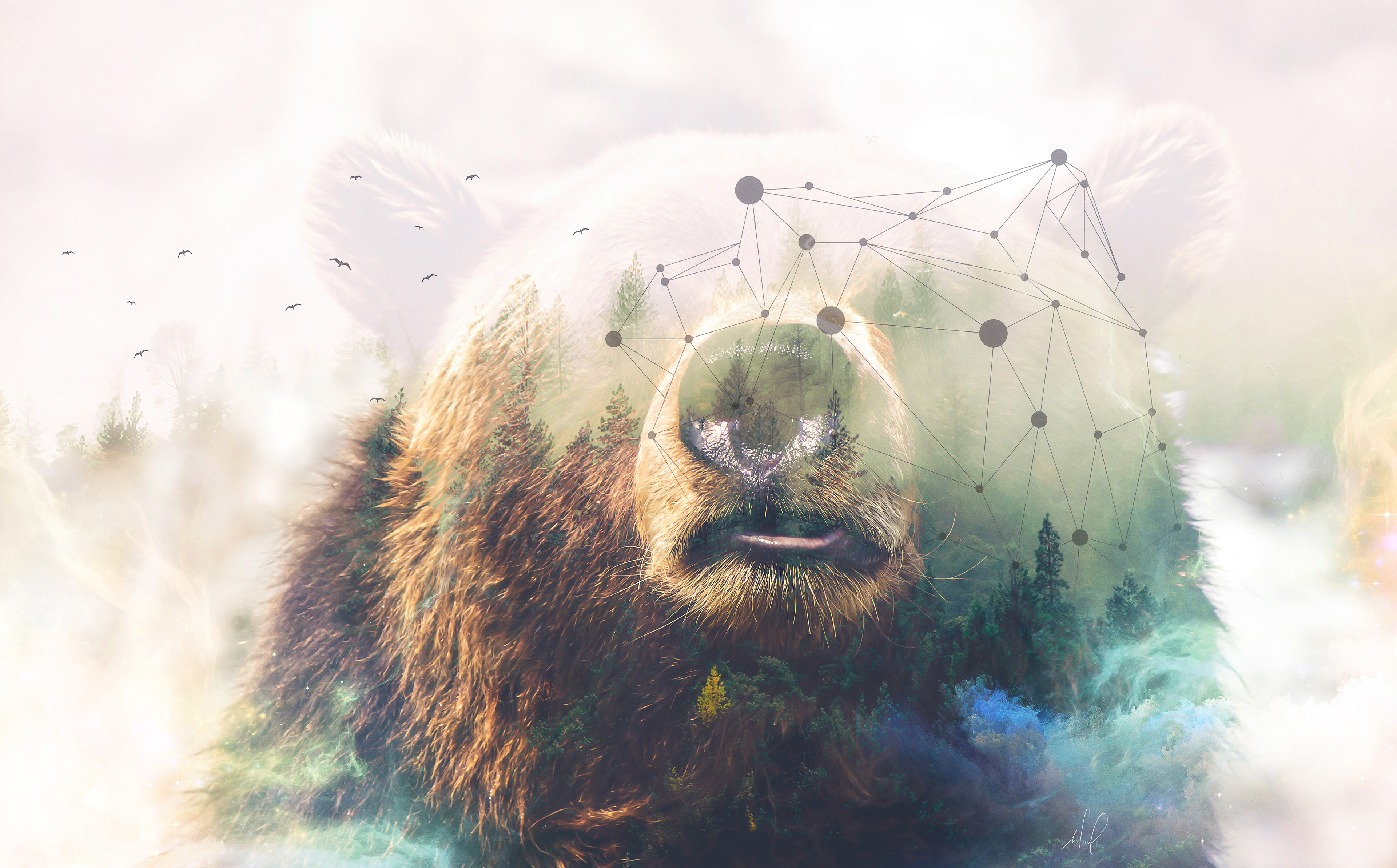 4K Grizzly Bear Double Exposure Forest HD Wallpaper