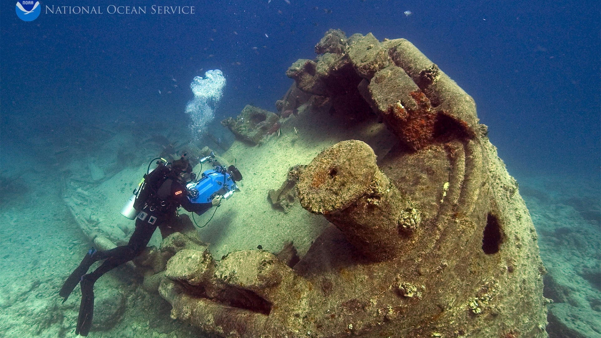 Diver exploring shipwreck from the Battle of Midway HD Wallpaper