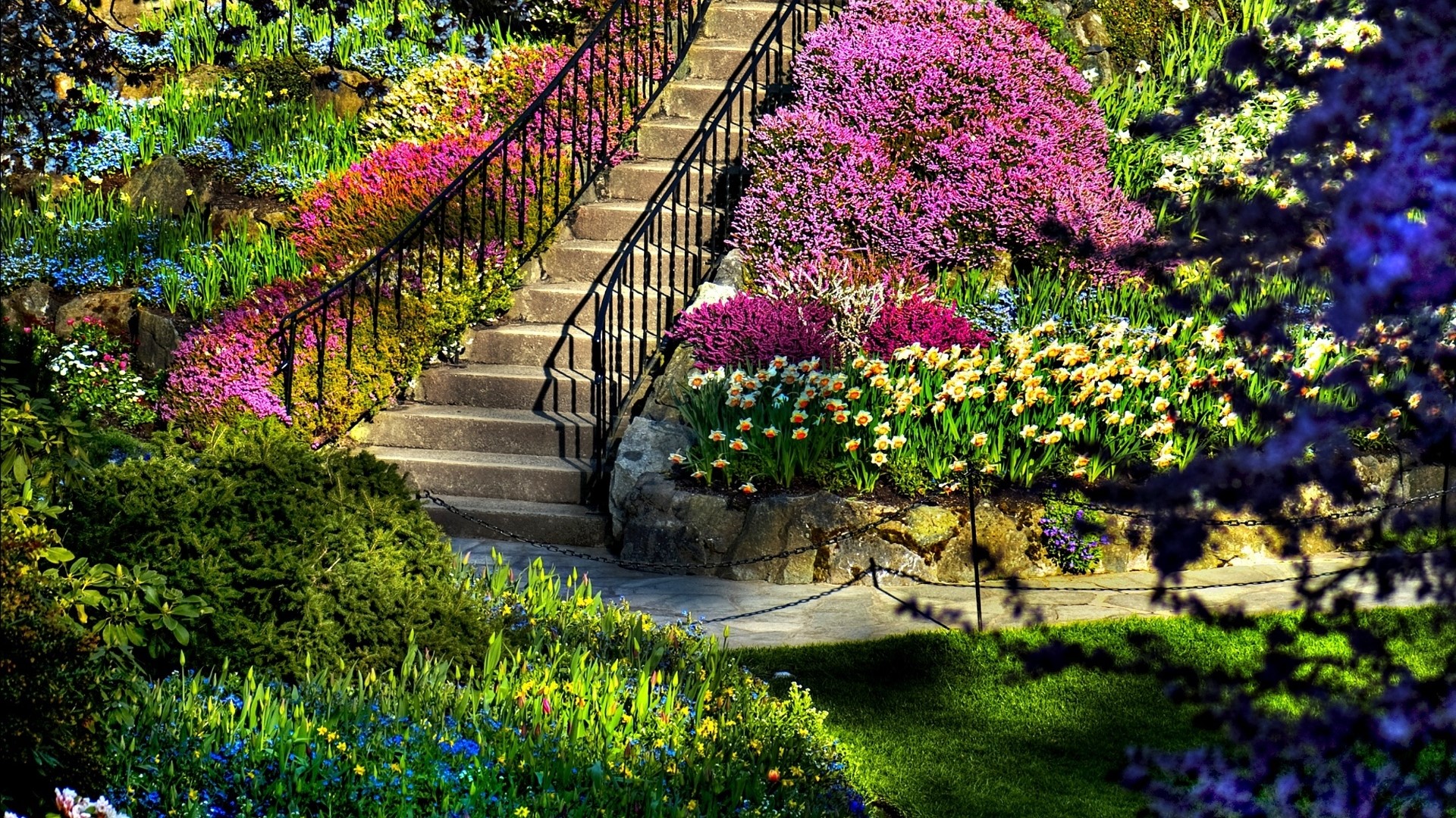Colorful flower garden with stone stairs HD Wallpaper