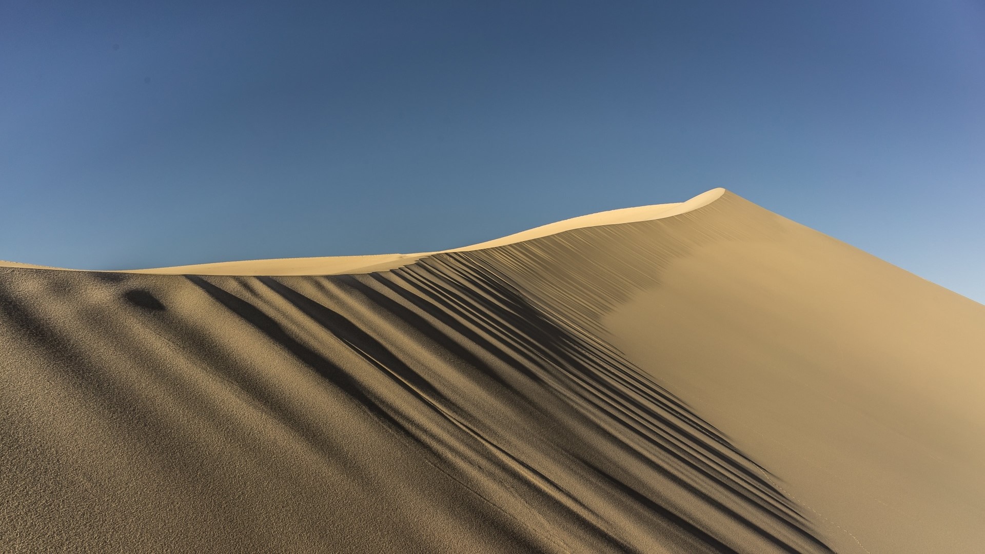 Desert sand dune under a clear blue sky HD Wallpaper