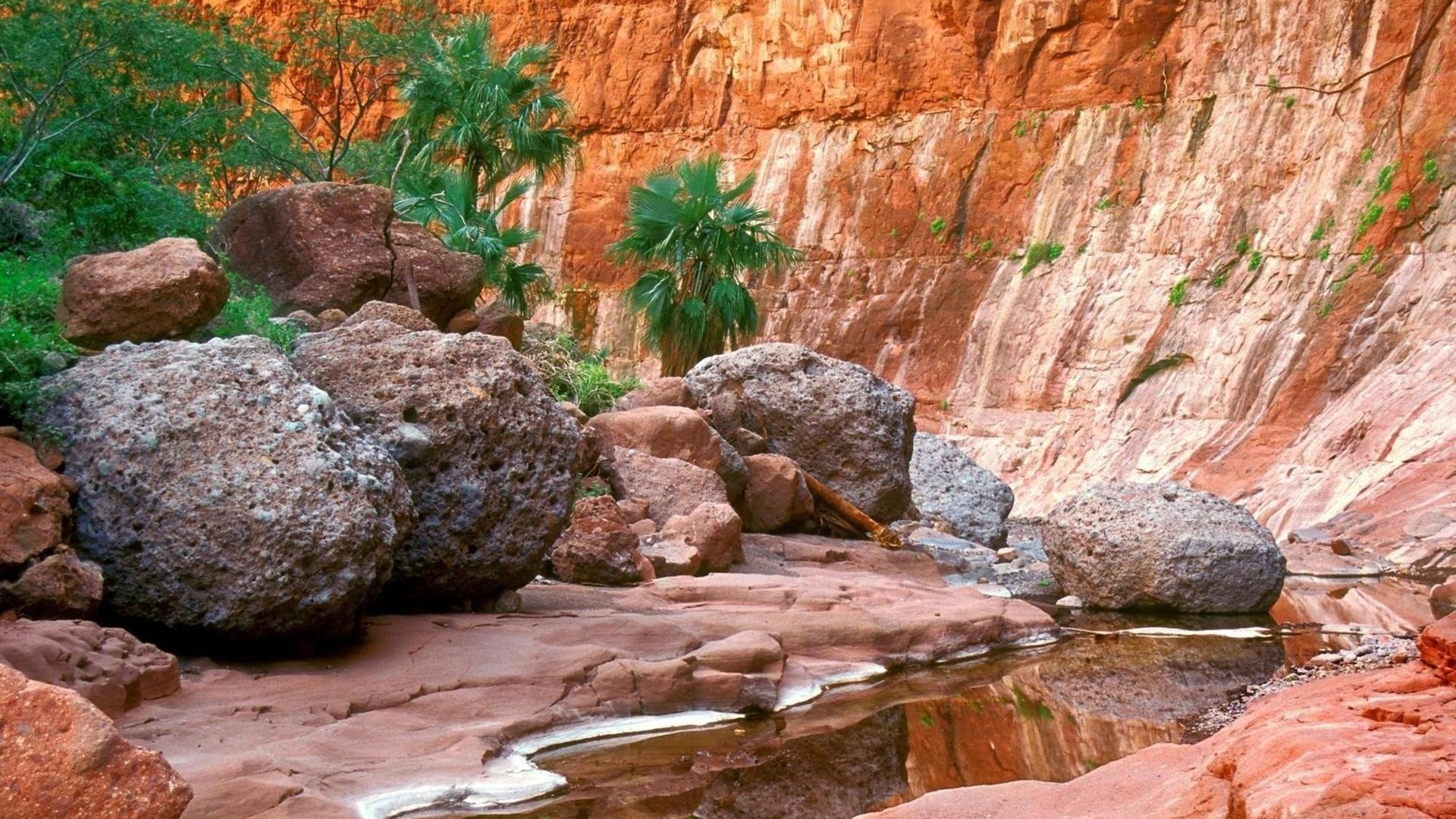 Canyon with river and red rock walls HD Wallpaper