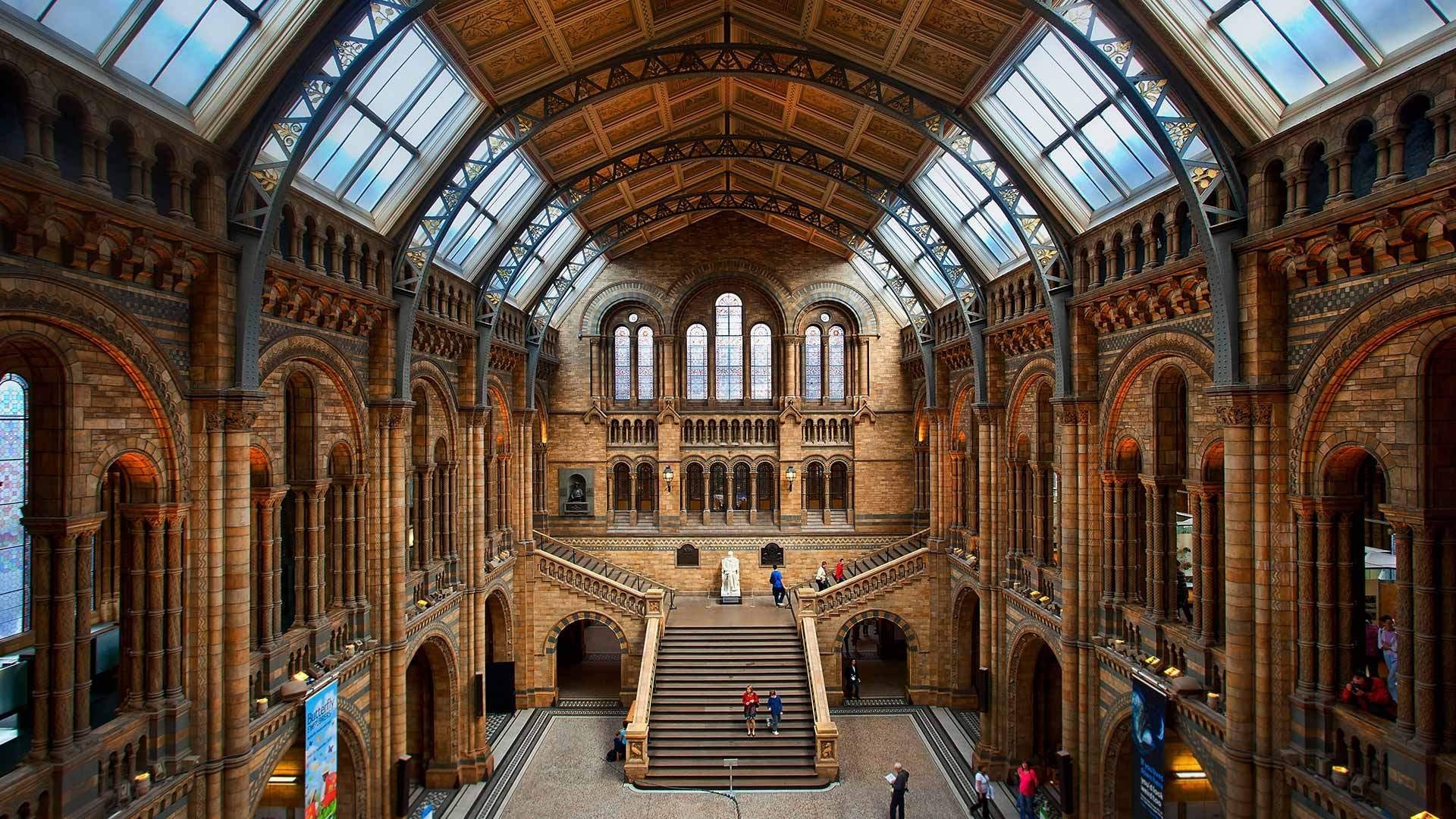 The Central Hall of the Natural History Museum HD Wallpaper