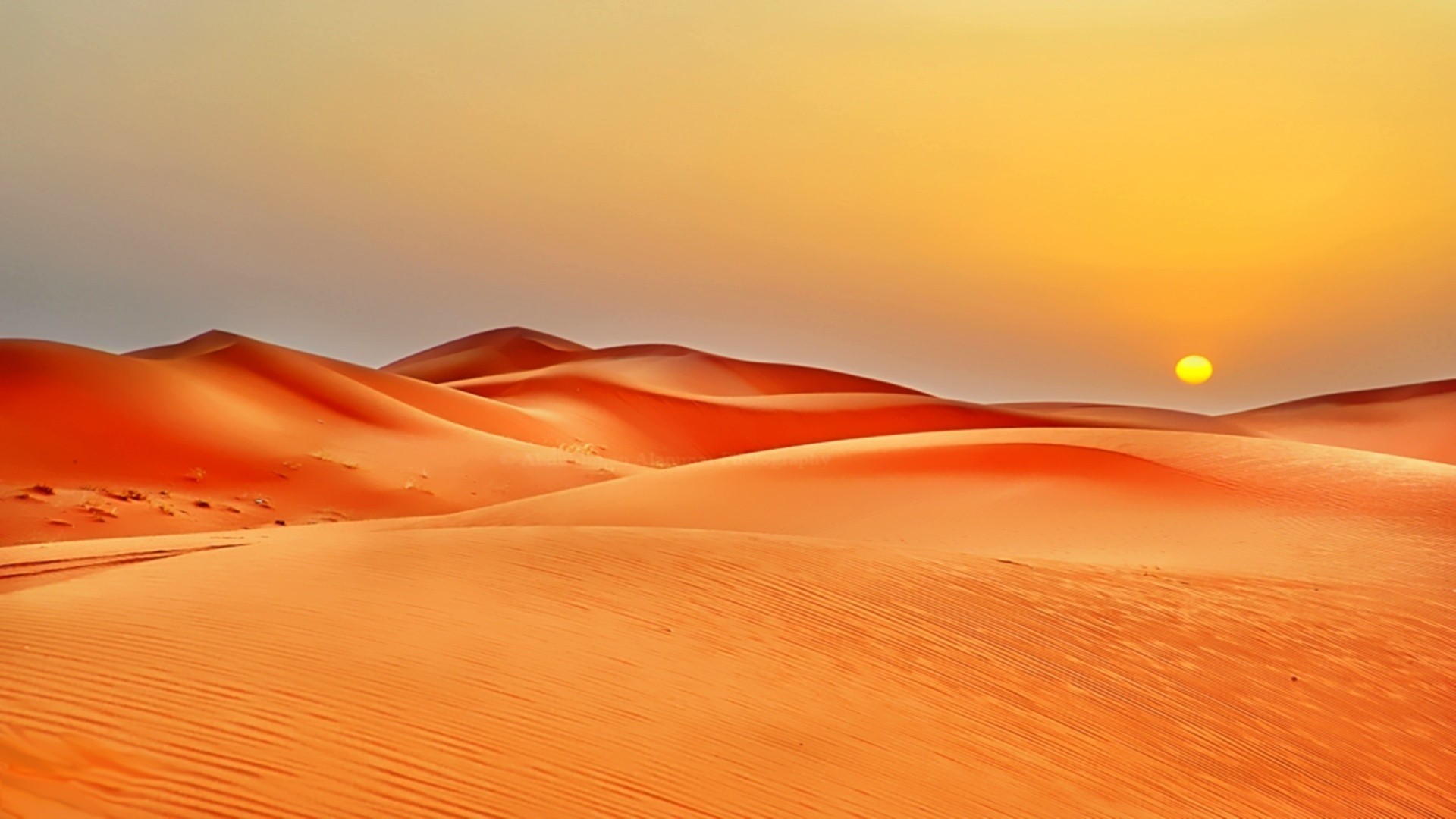 Desert landscape with sand dunes at sunset HD Wallpaper