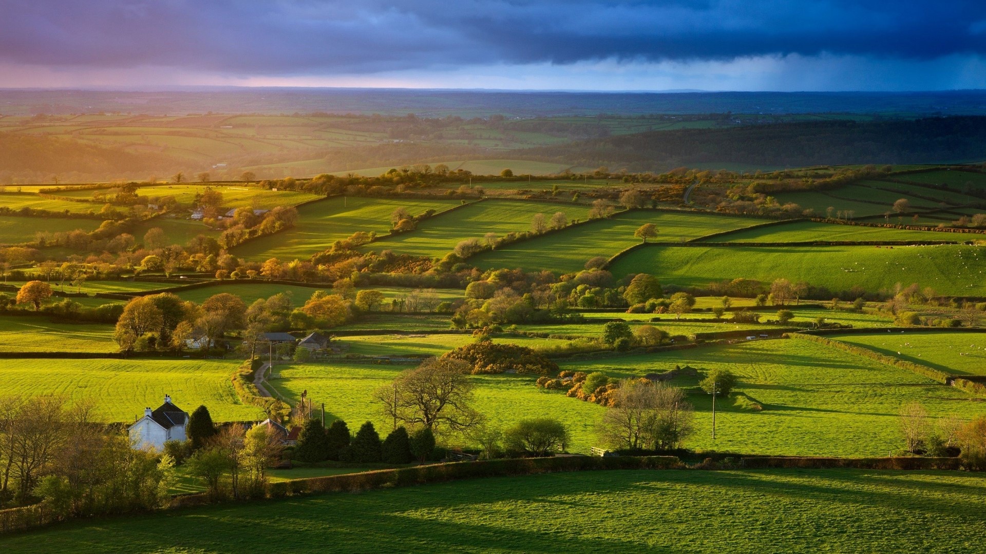 Green fields at dawn with dramatic sky HD Wallpaper