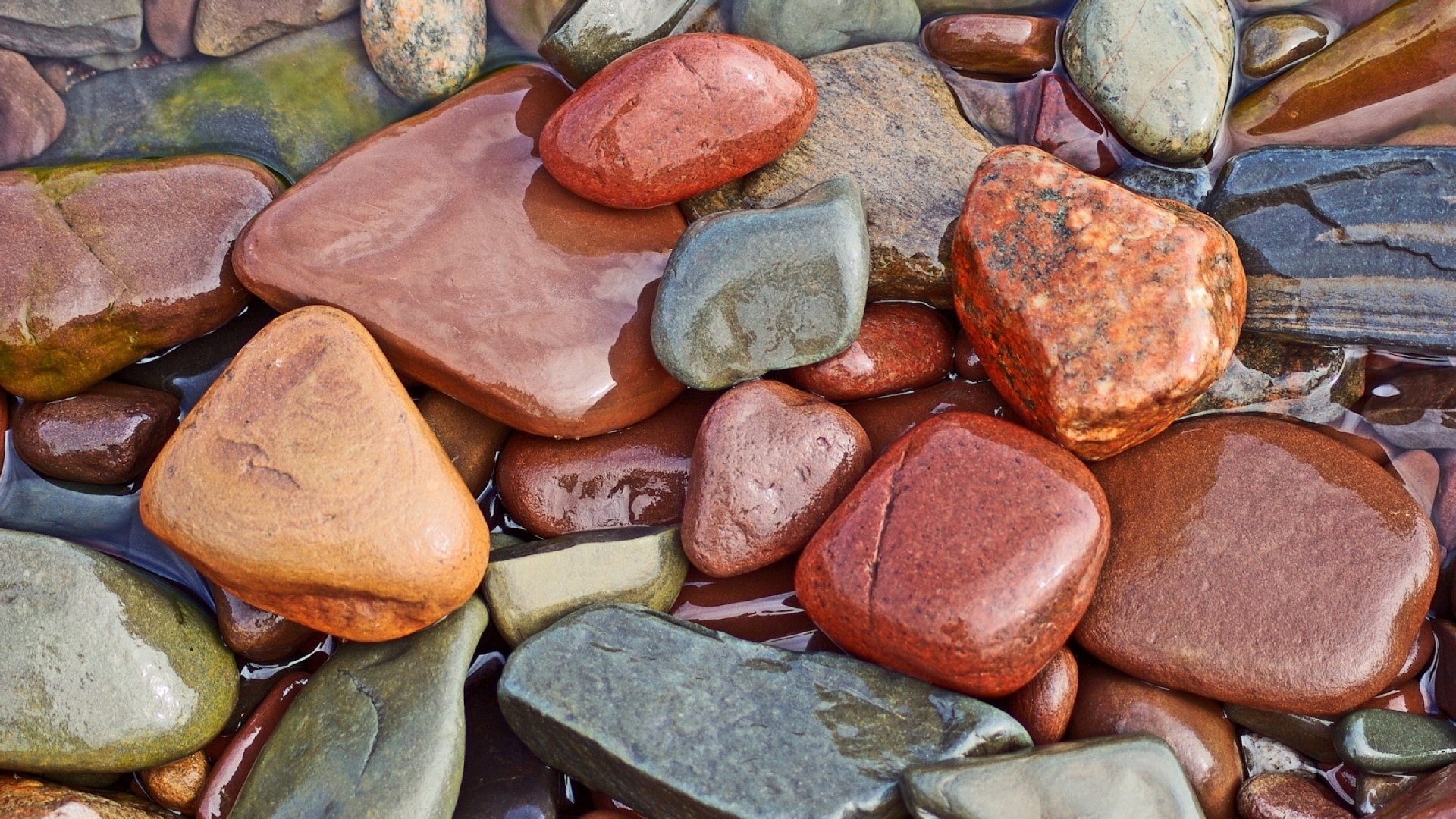 Colorful Wet Rocks in Water HD Wallpaper
