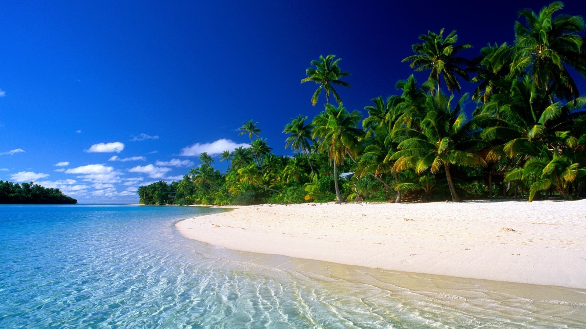 Tropical beach with palm trees and clear blue water HD Wallpaper
