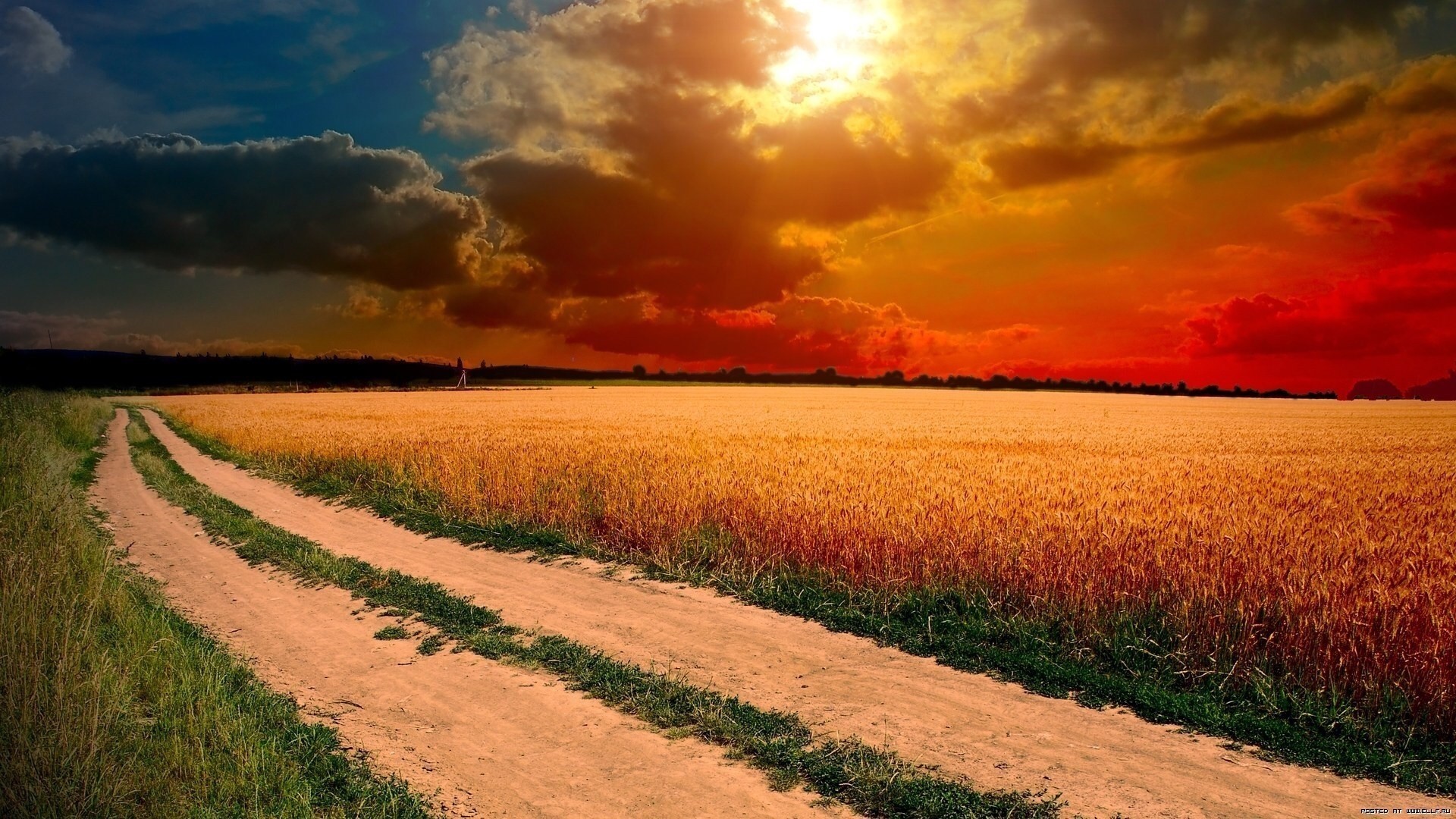 Dirt Road Through Wheat Field at Sunset HD Wallpaper