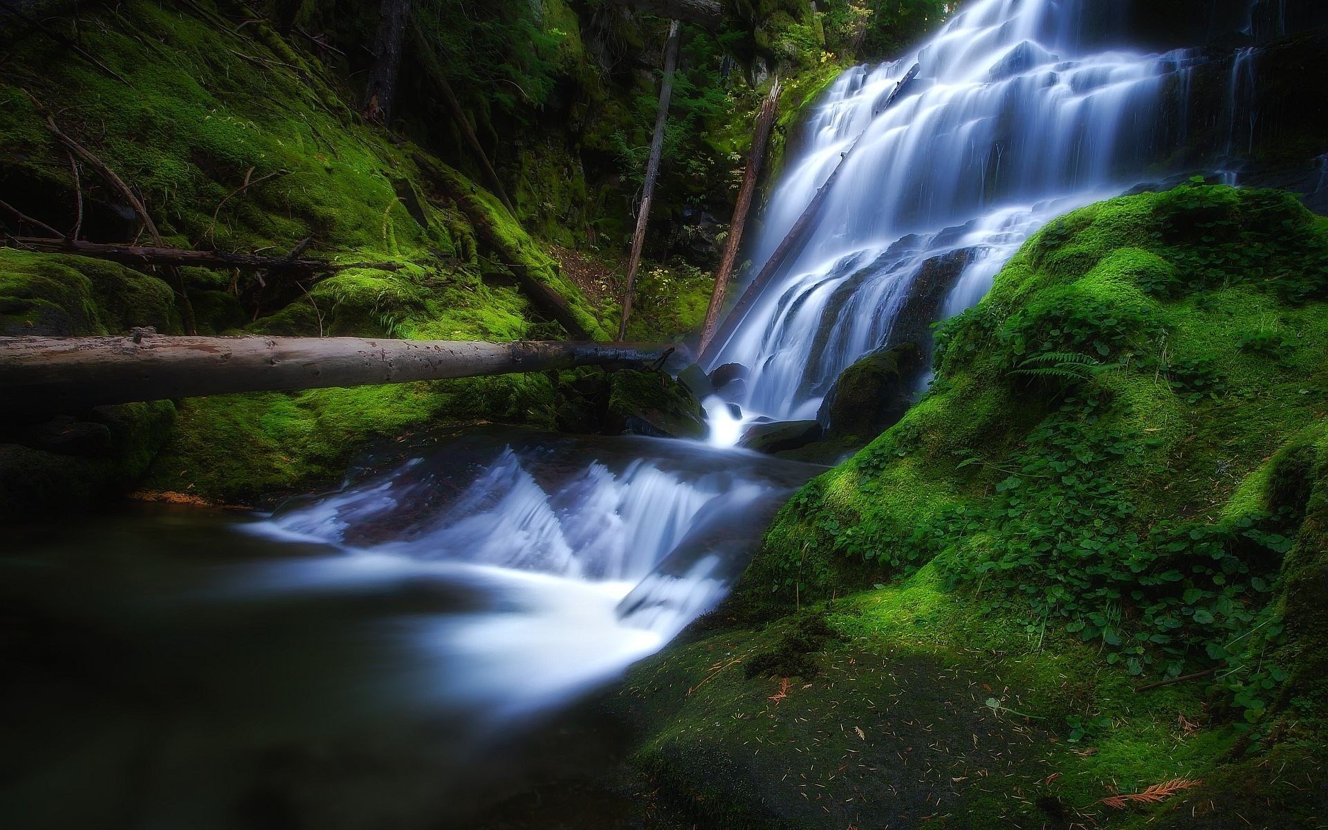Mossy rocks and a cascading waterfall in a forest HD Wallpaper