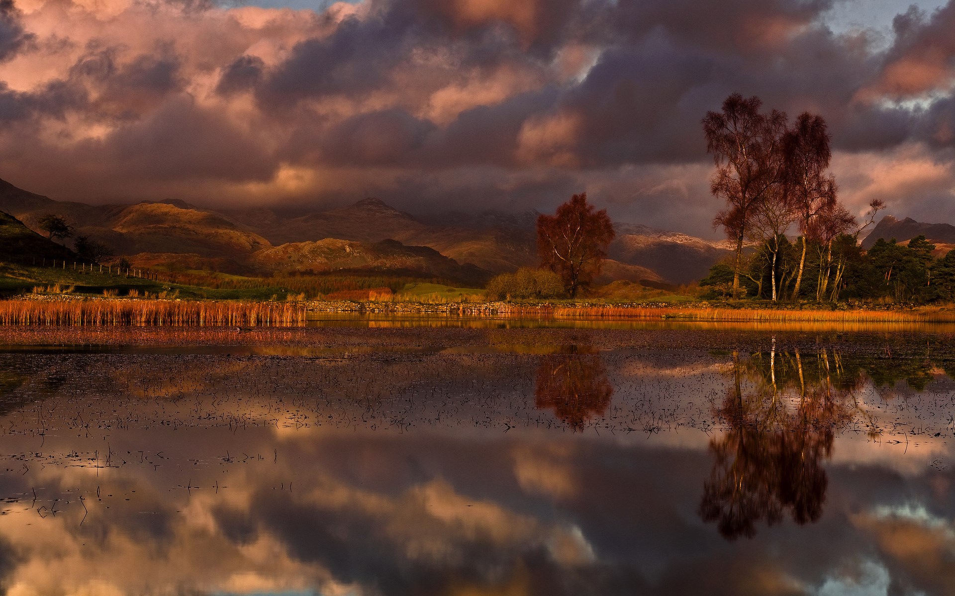 Lake reflection at sunset with mountains and trees HD Wallpaper