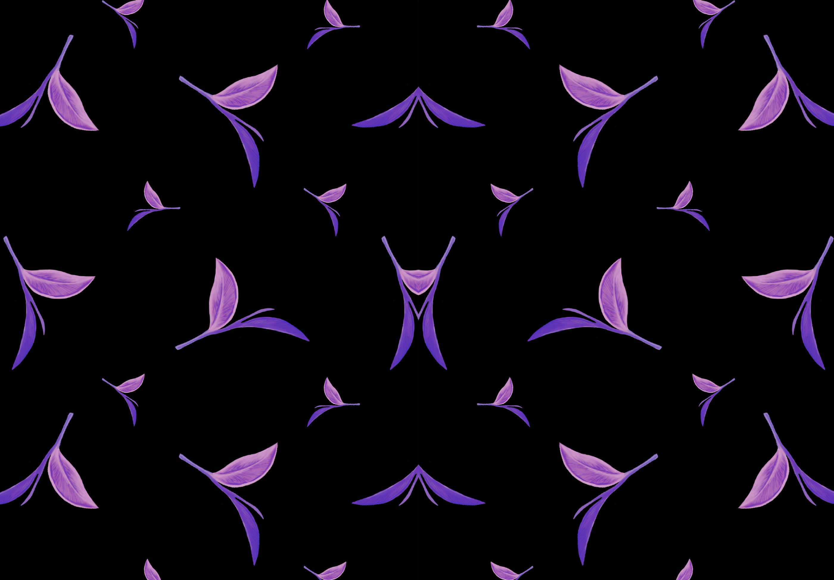 Violet leaves on a black background HD Wallpaper