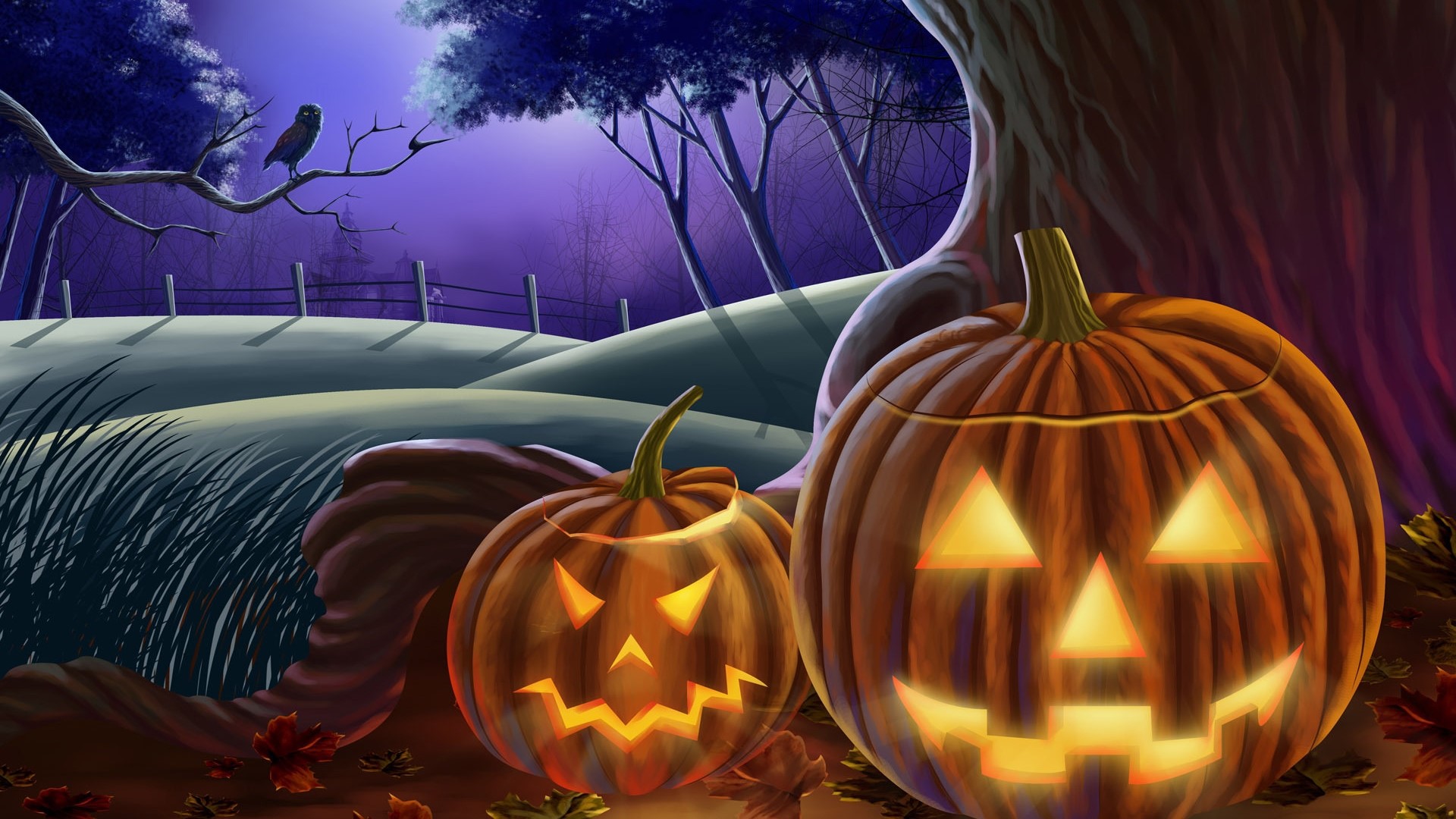 Jack O'Lanterns in a spooky forest at night HD Wallpaper