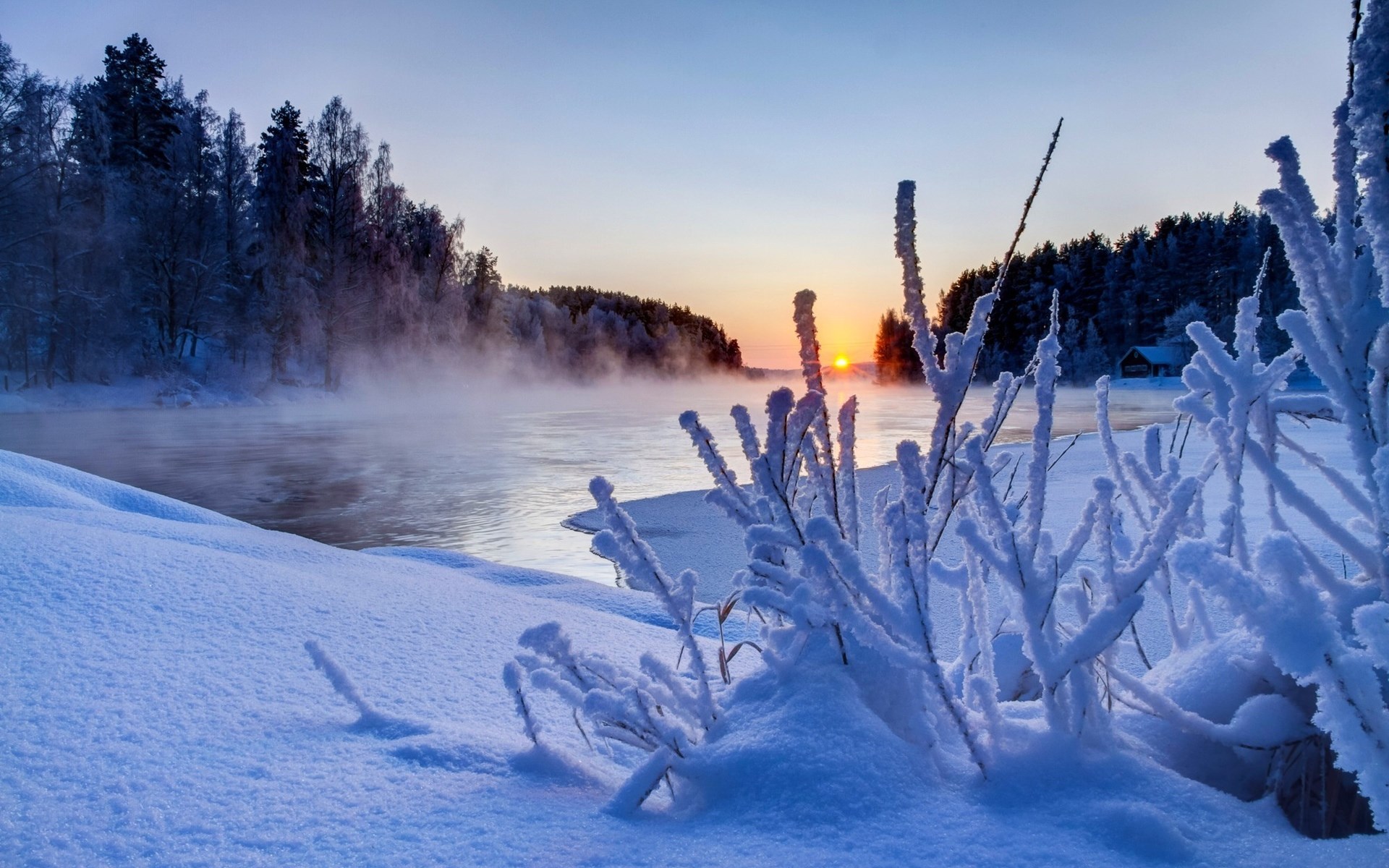 Winter sunrise over a misty river with snow-covered plants HD Wallpaper