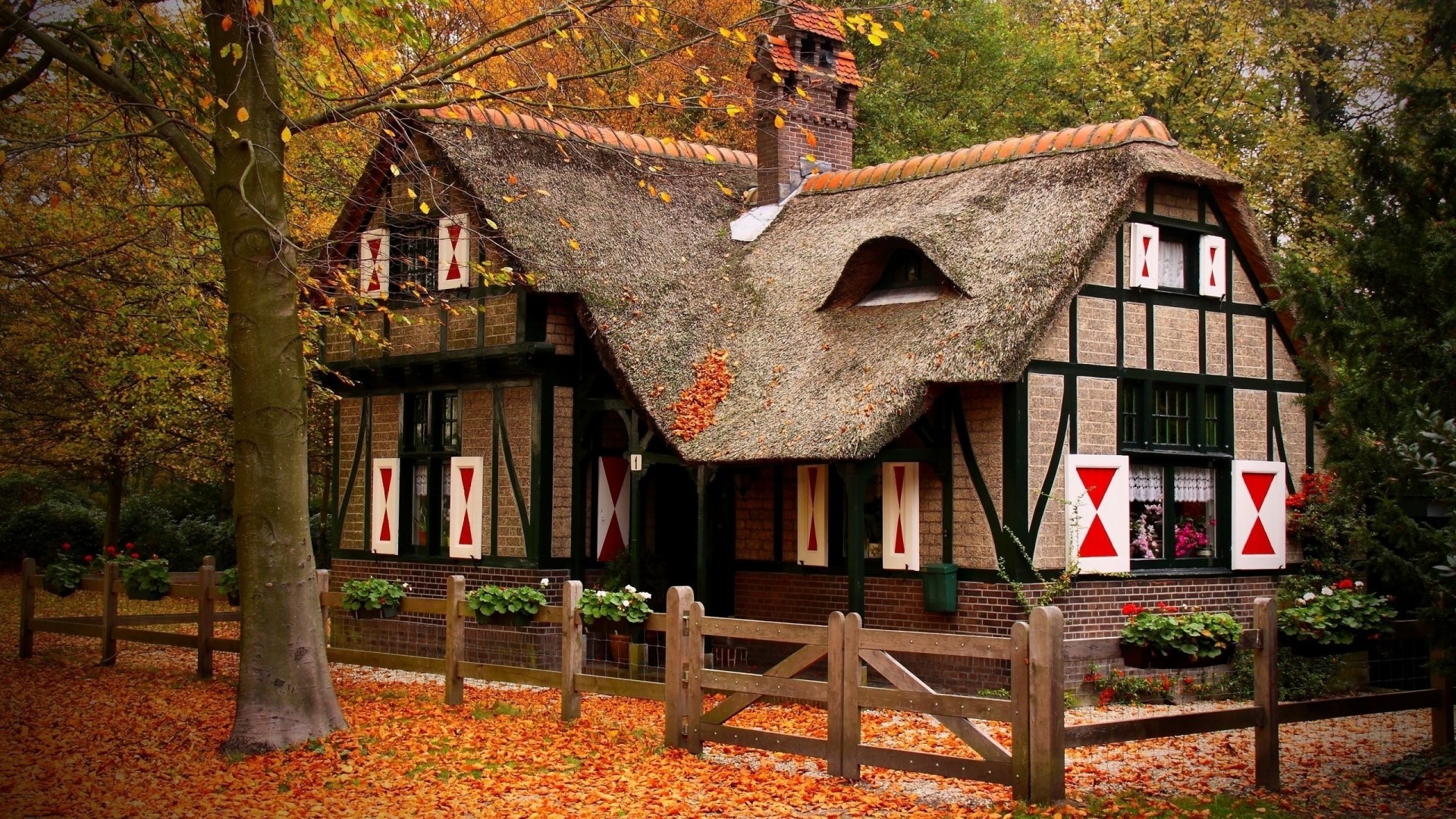 Thatched roof cottage in autumn woods HD Wallpaper