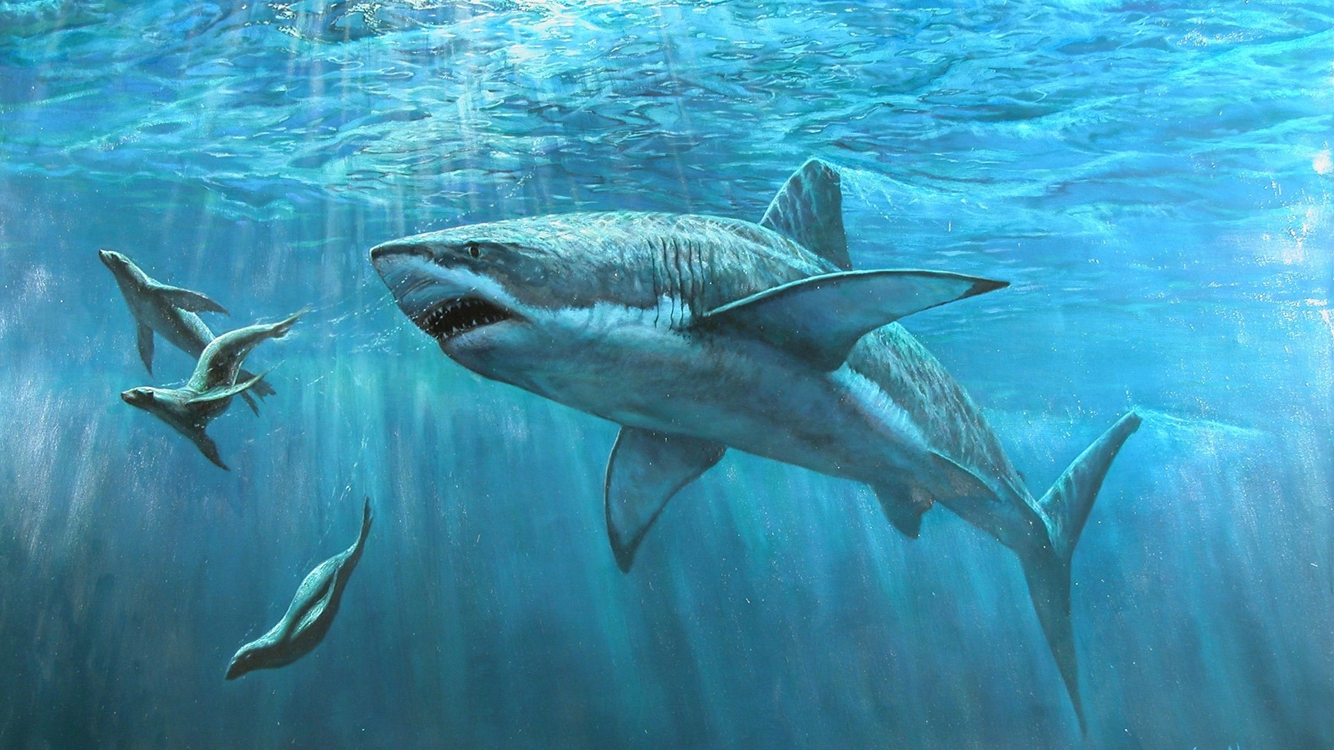 Great White Shark Hunting Seals Underwater Painting HD Wallpaper