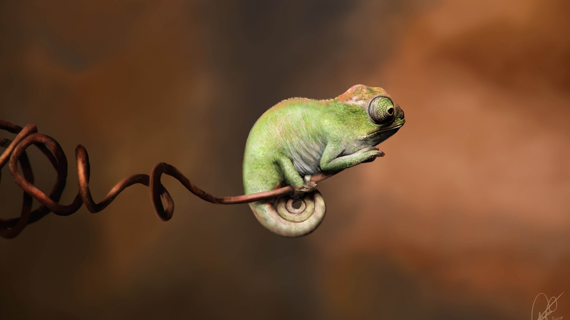 Baby Chameleon on a Twisted Branch HD Wallpaper