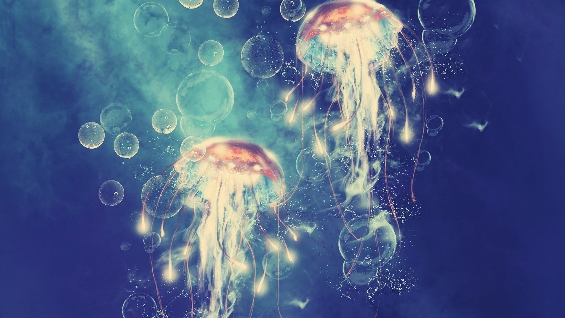 Two jellyfish and bubbles in blue water HD Wallpaper