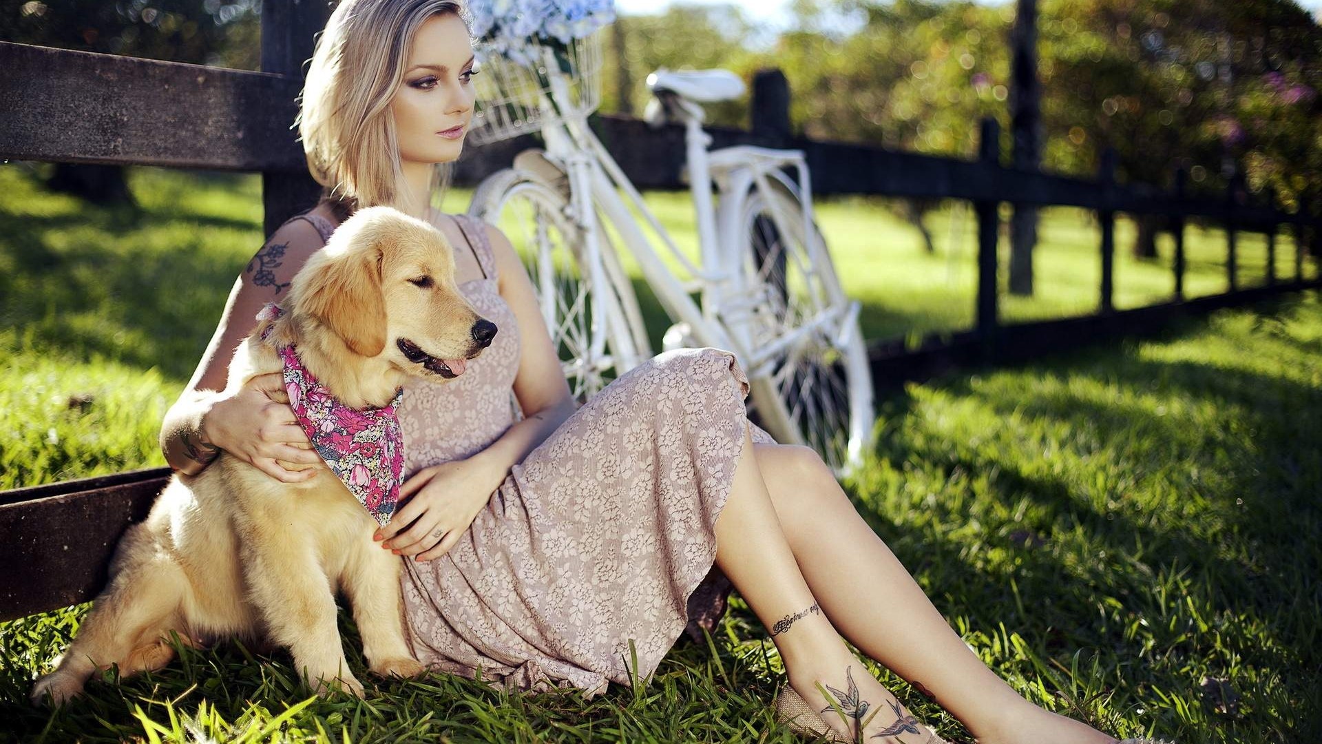 Girl with Golden Retriever dog and bicycle HD Wallpaper