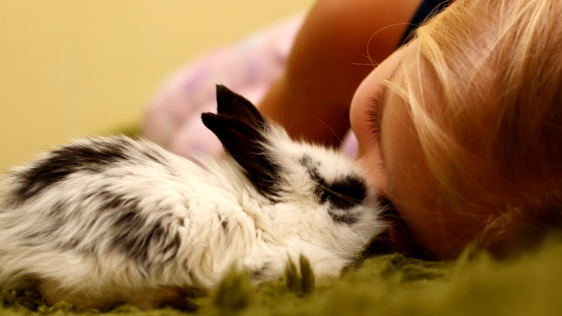 A child rests their head on a bunny HD Wallpaper
