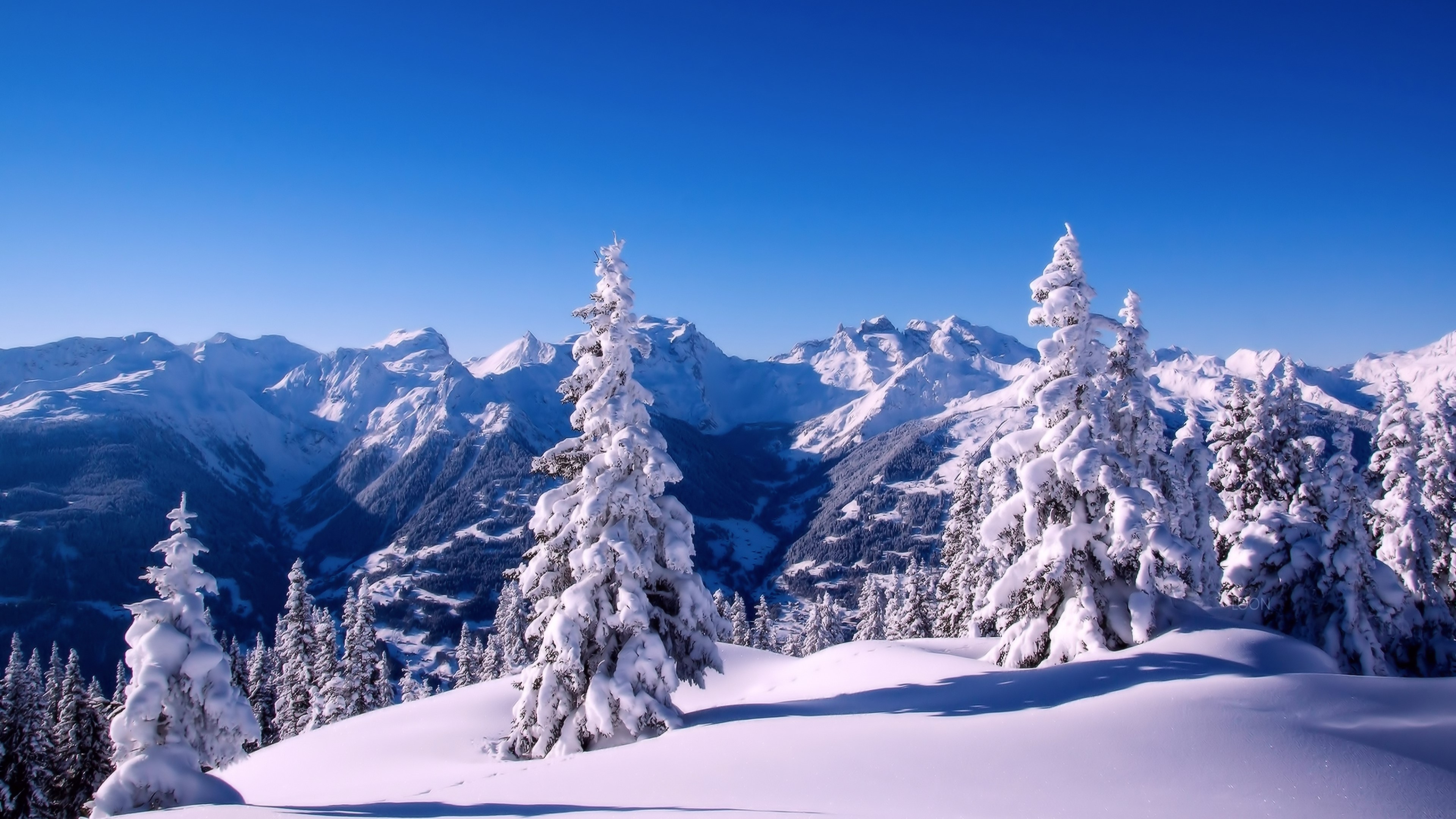 4K Winter Snow-Covered Mountains and Trees HD Wallpaper