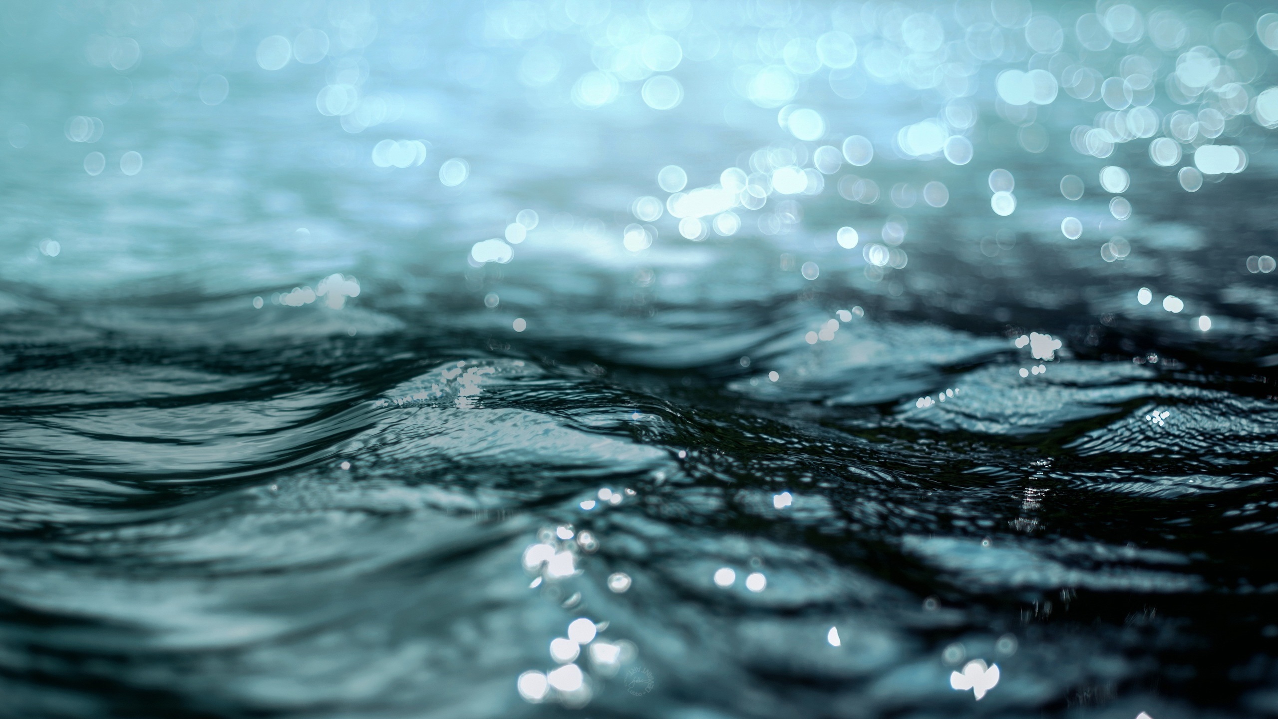 Bokeh, Water HD Wallpaper
