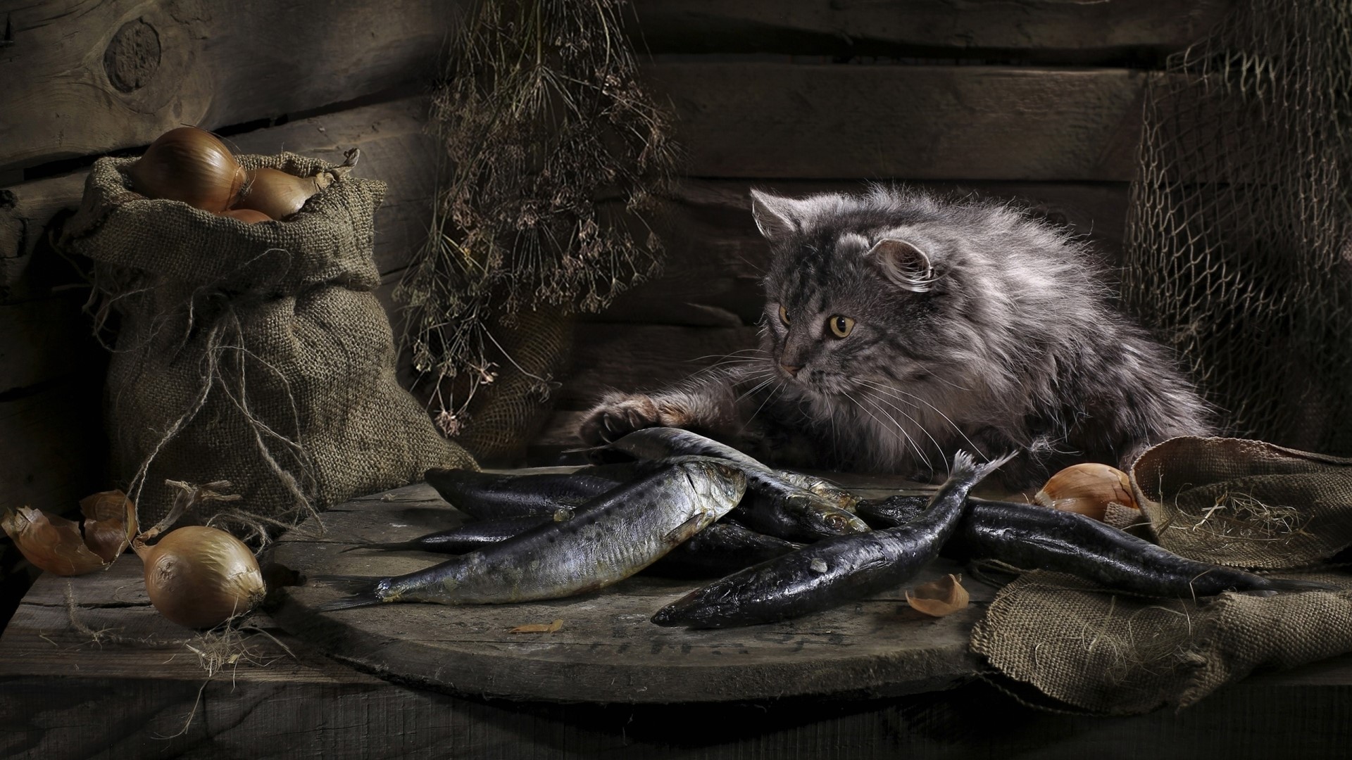 Cat with fish and onions in a pantry HD Wallpaper