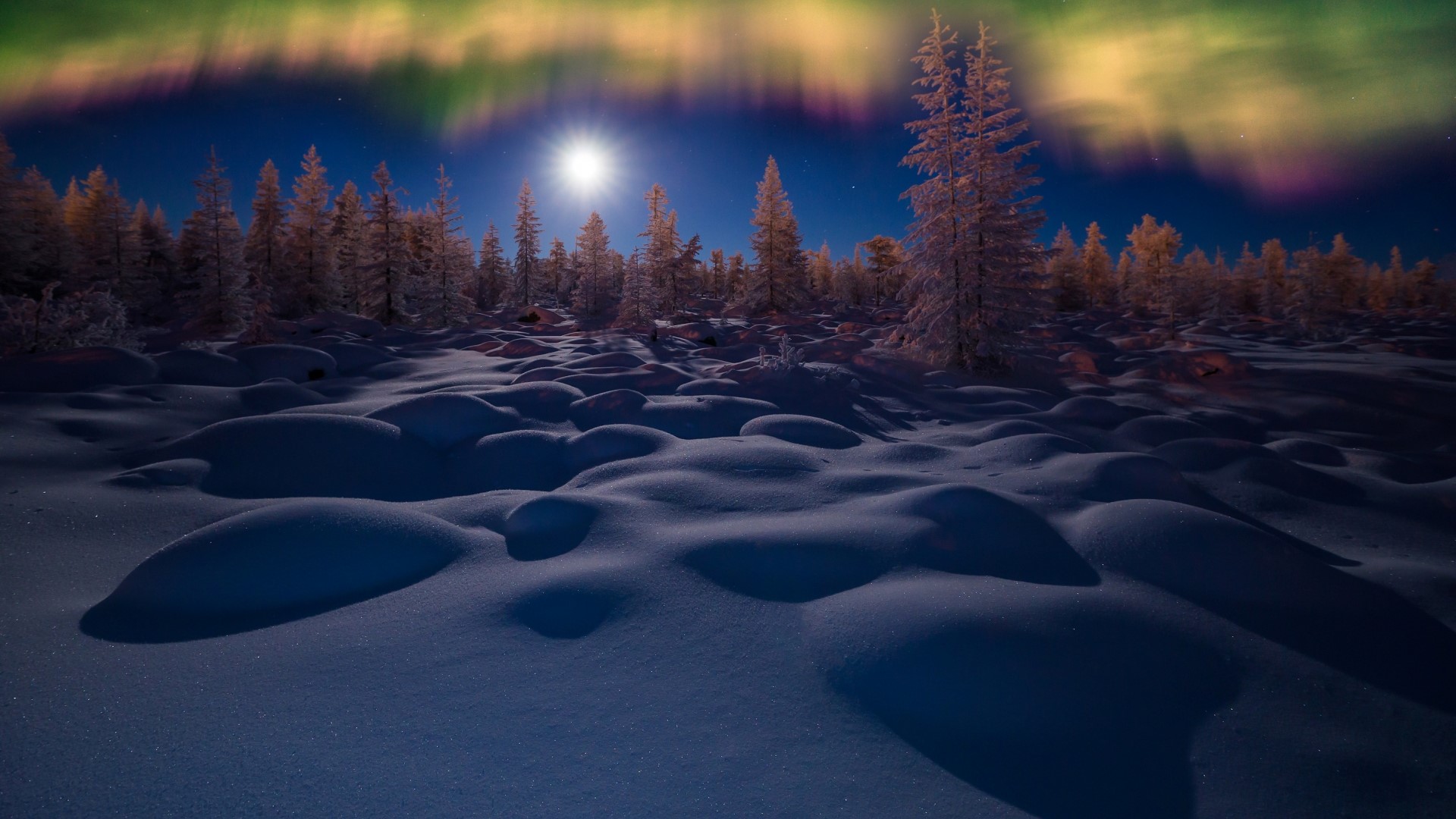Aurora Borealis over a snowy forest landscape HD Wallpaper