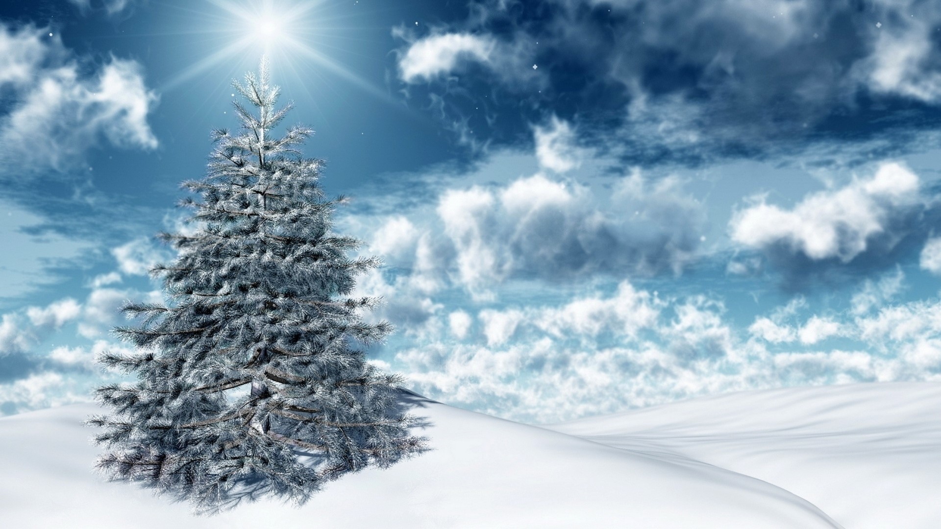 Snowy Christmas Tree Under Bright Sky HD Wallpaper