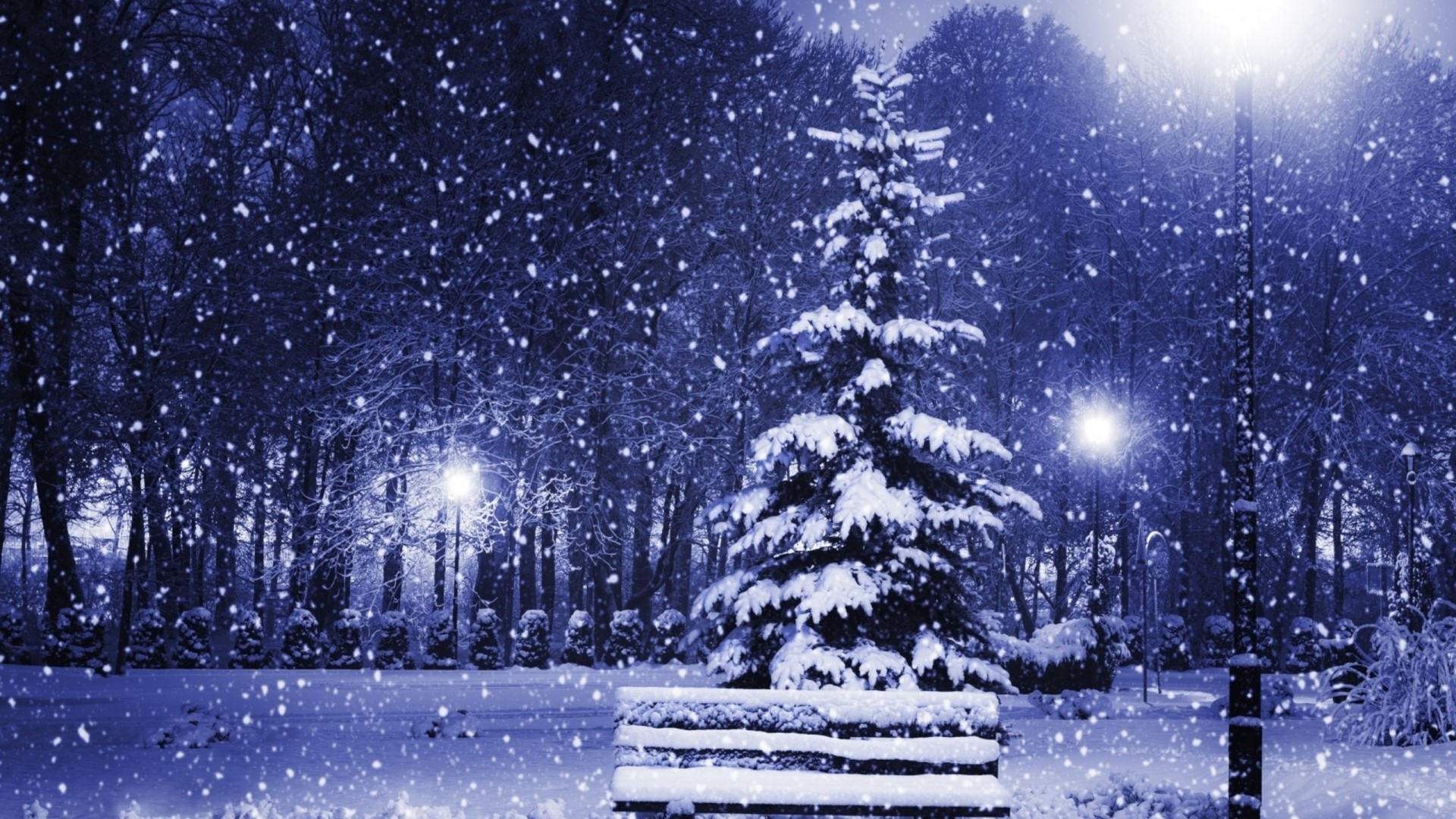 Snowy night park with Christmas tree and bench HD Wallpaper