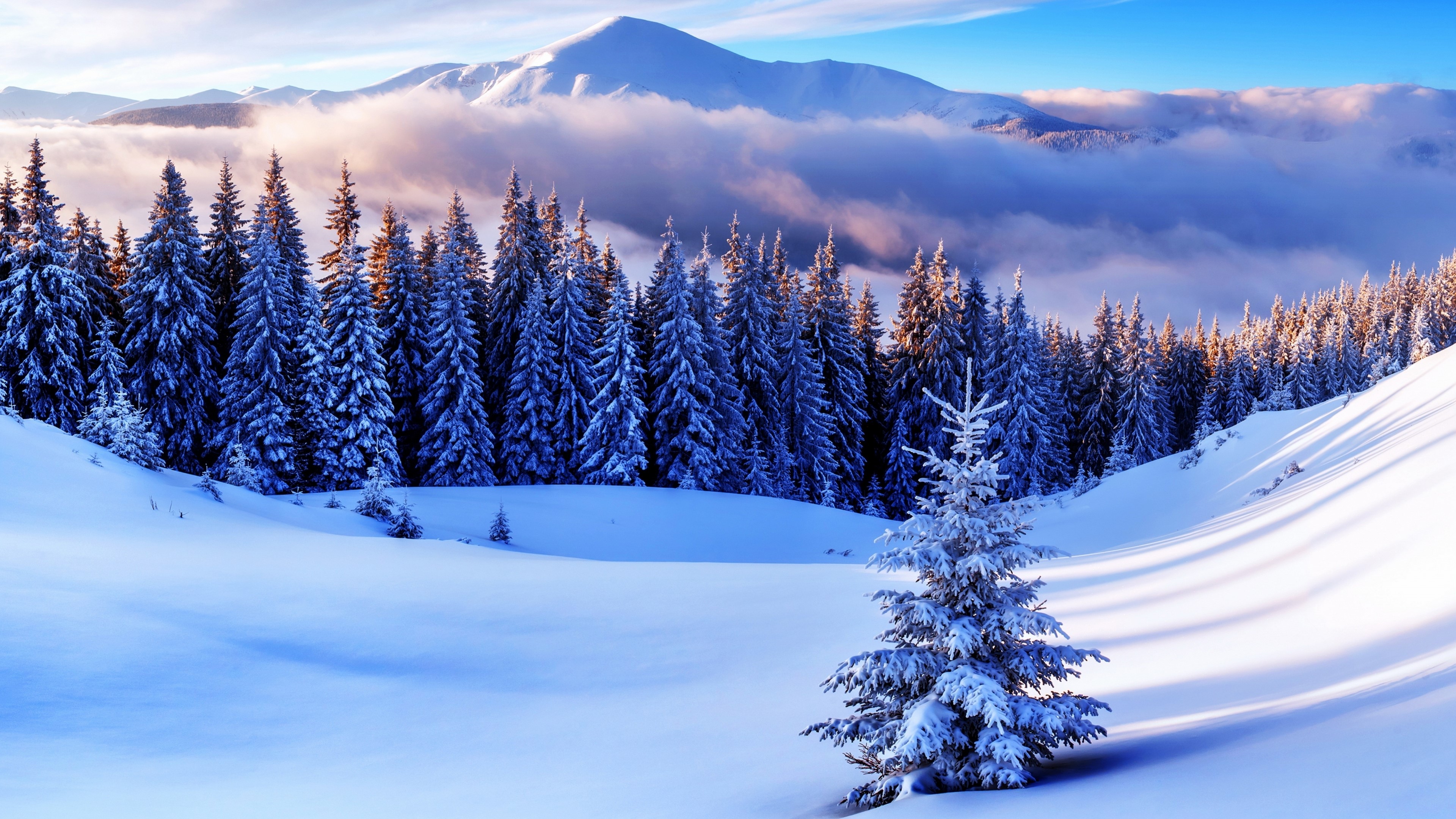 4K Winter Landscape with Snow-Covered Trees and Mountains HD Wallpaper