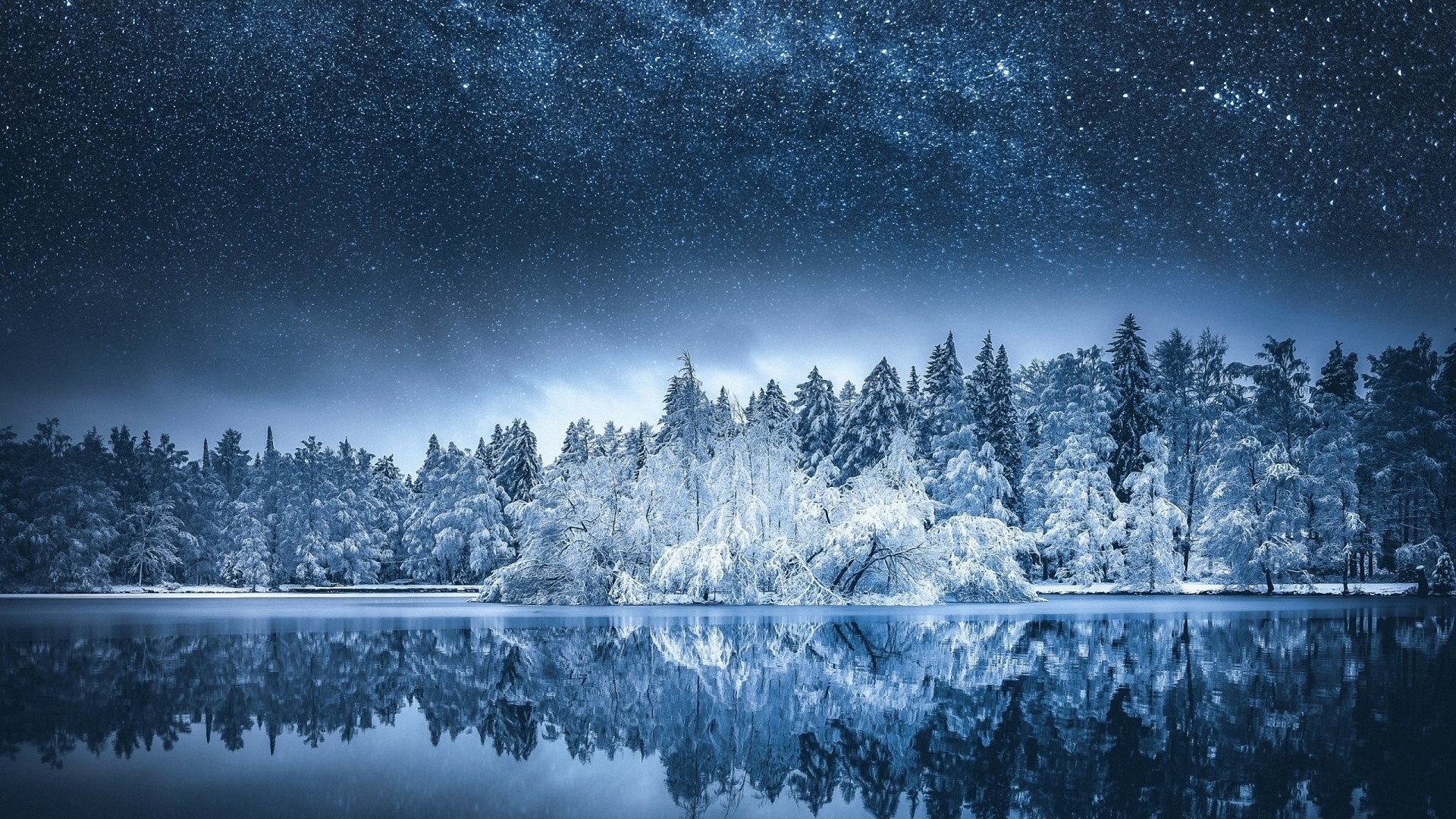 Snowy forest reflected in a lake under a starry night sky HD Wallpaper