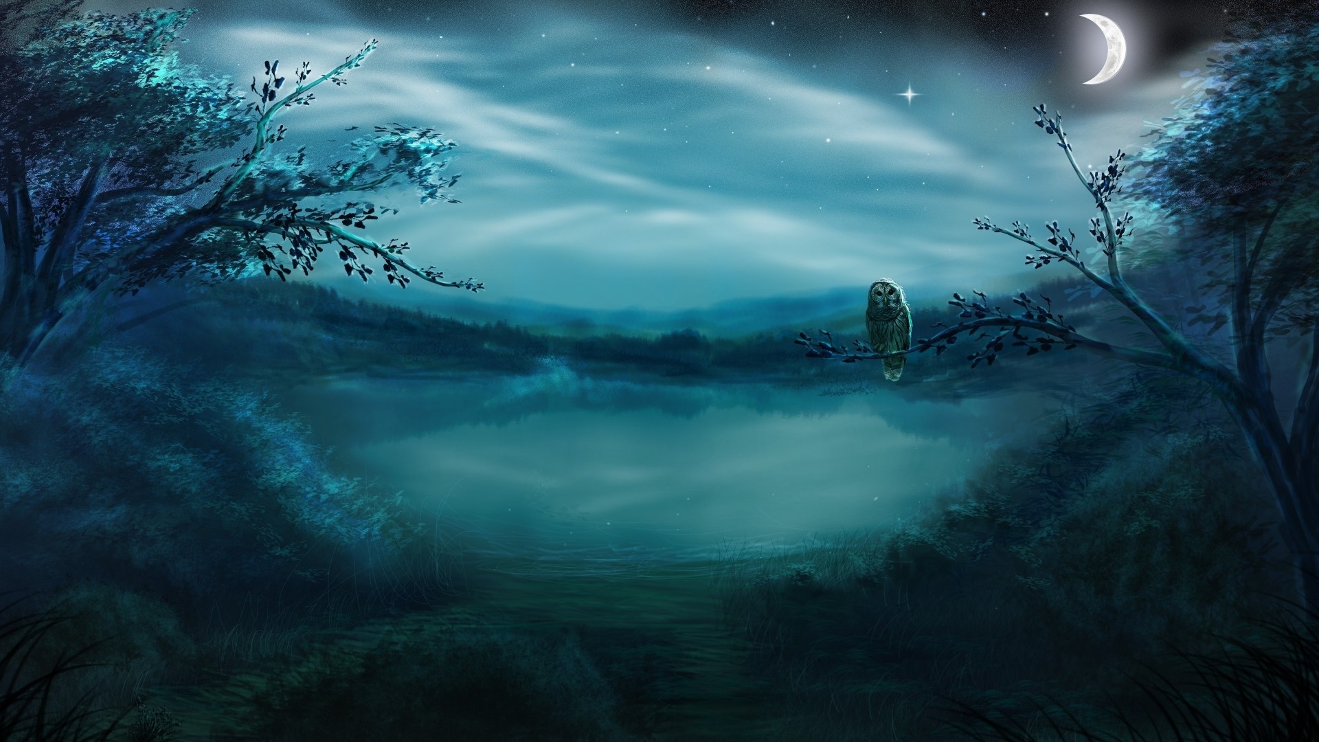 Owl on a branch by a lake at night HD Wallpaper