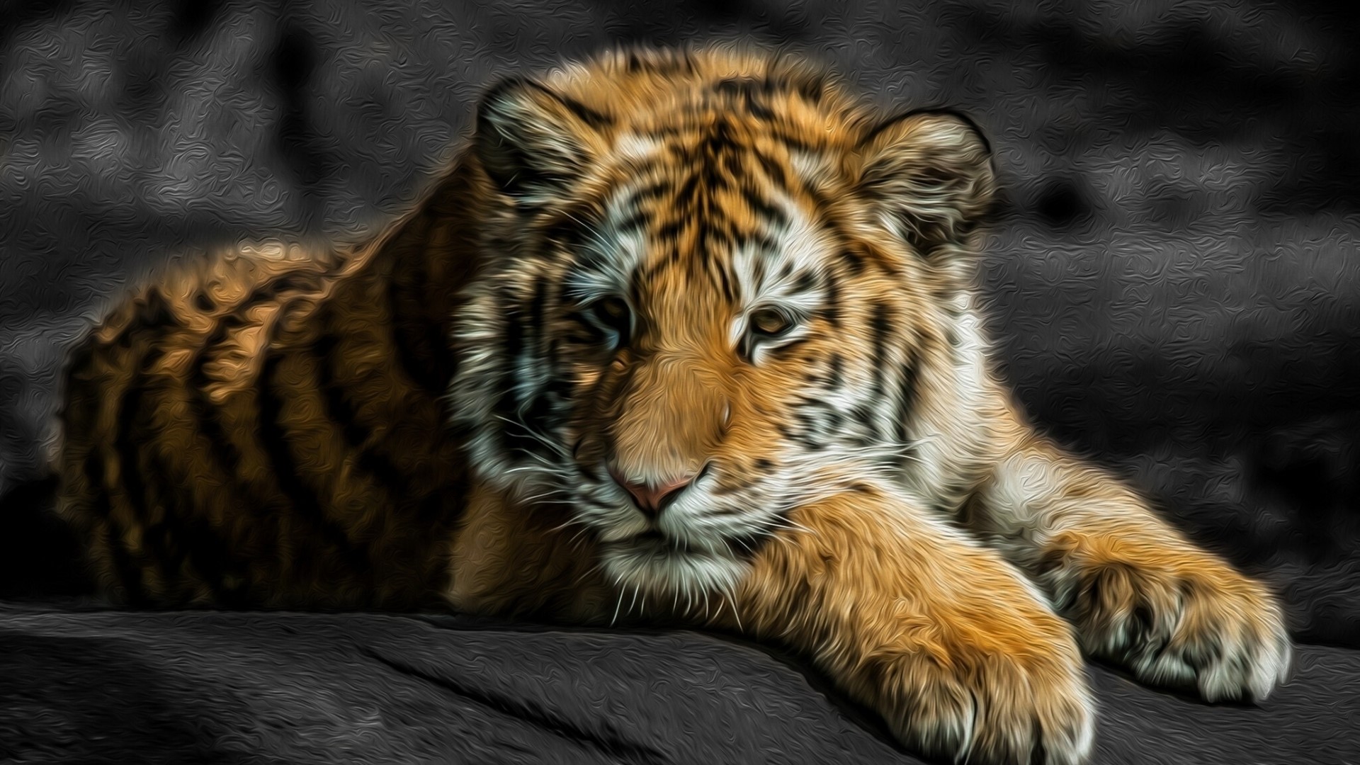 Tiger cub lying down HD Wallpaper