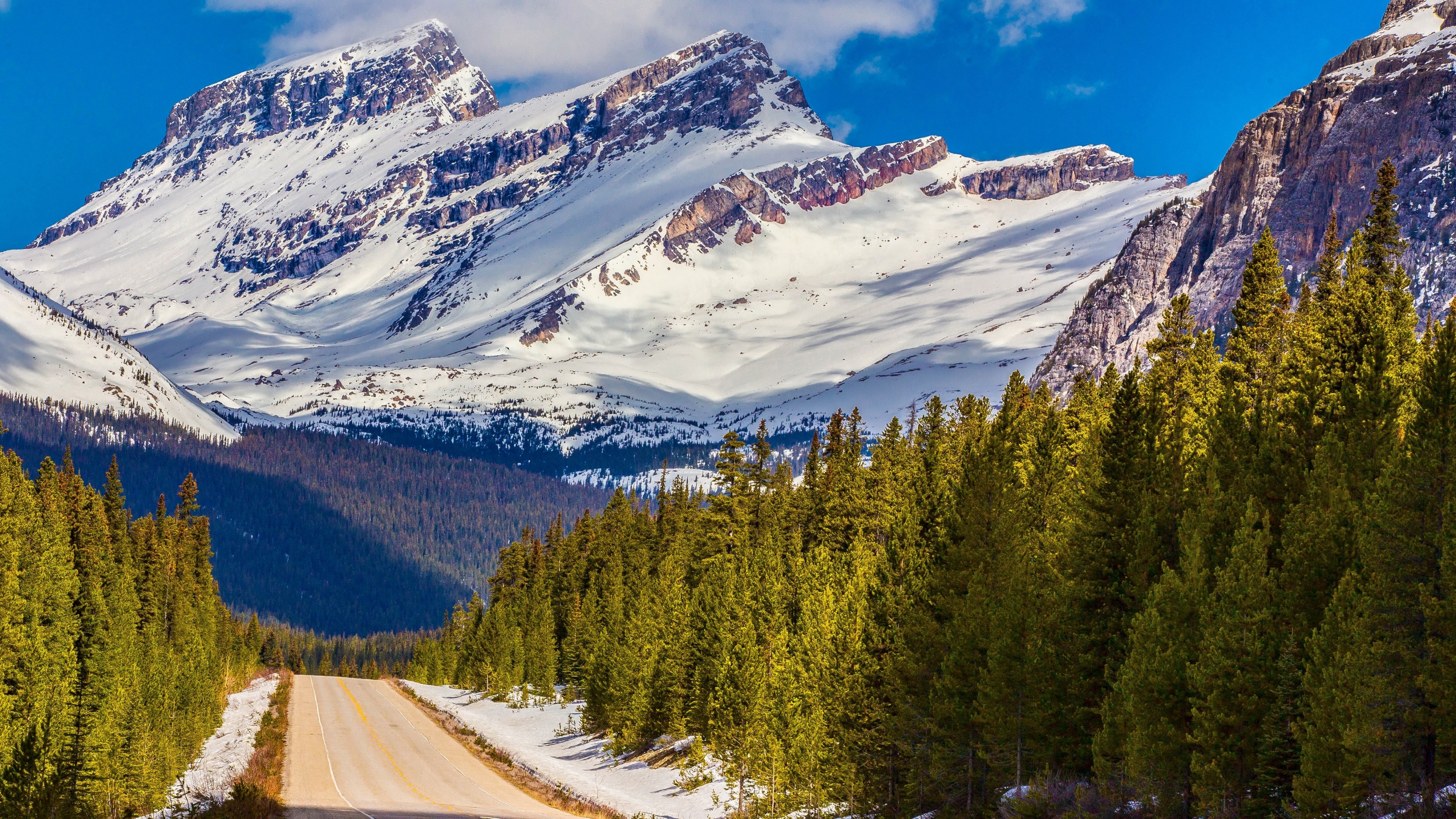 4K Road Through Snowy Mountains and Forest HD Wallpaper