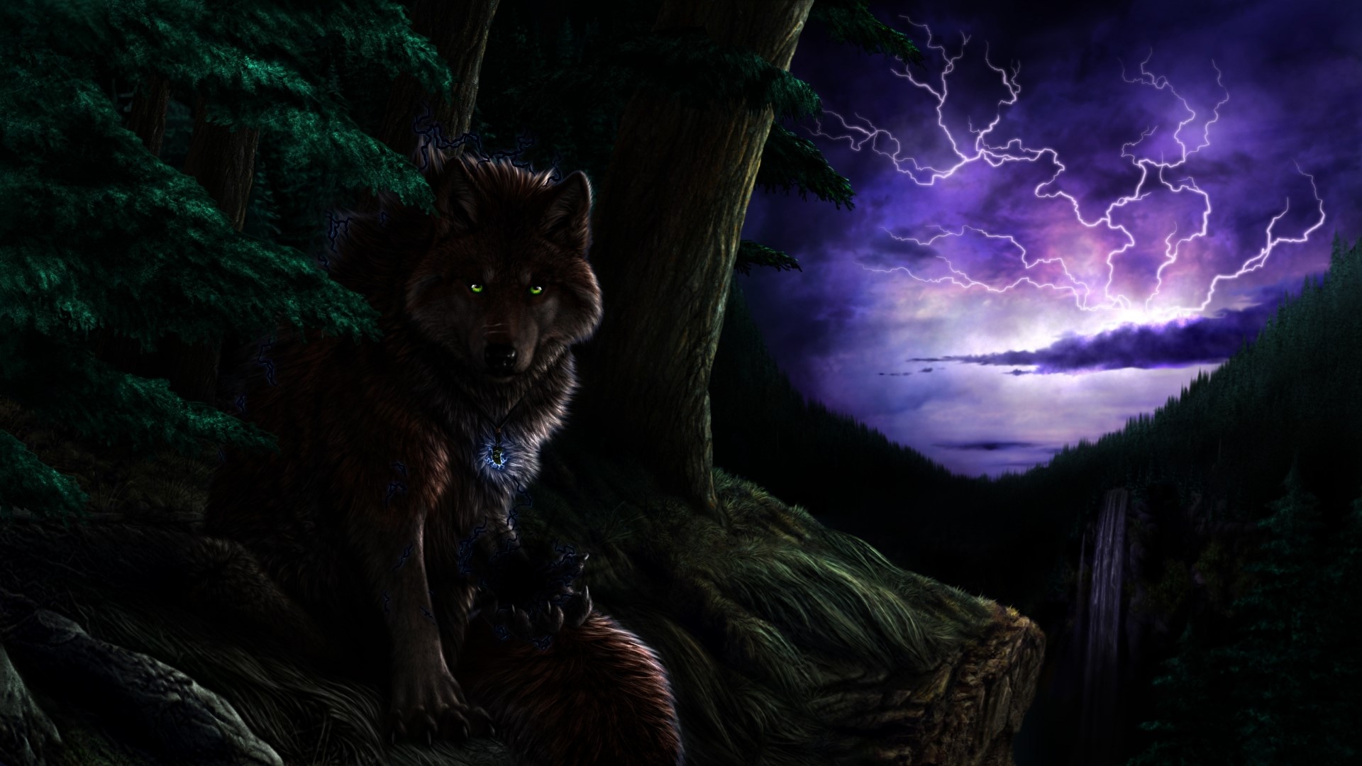 Wolf in a forest during a lightning storm HD Wallpaper