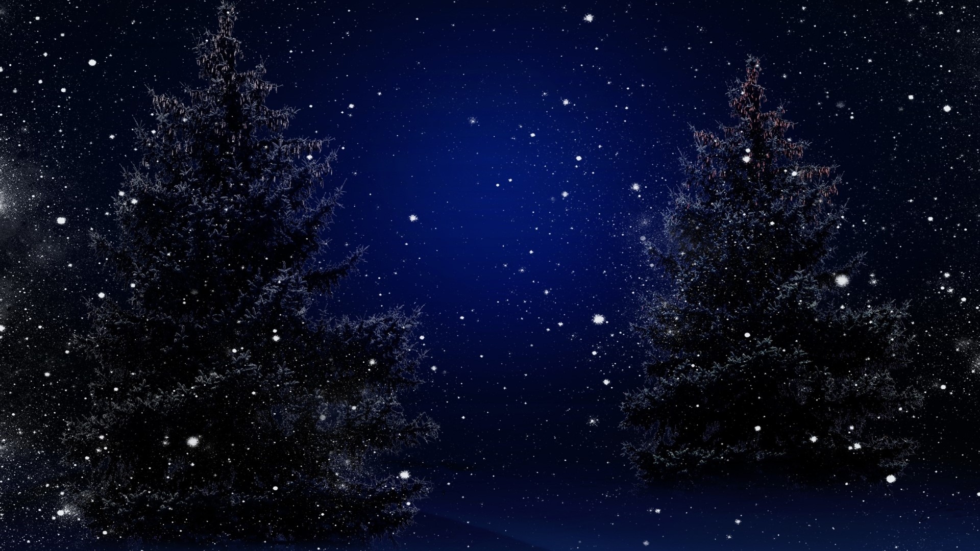 Winter night with snow and pine trees HD Wallpaper