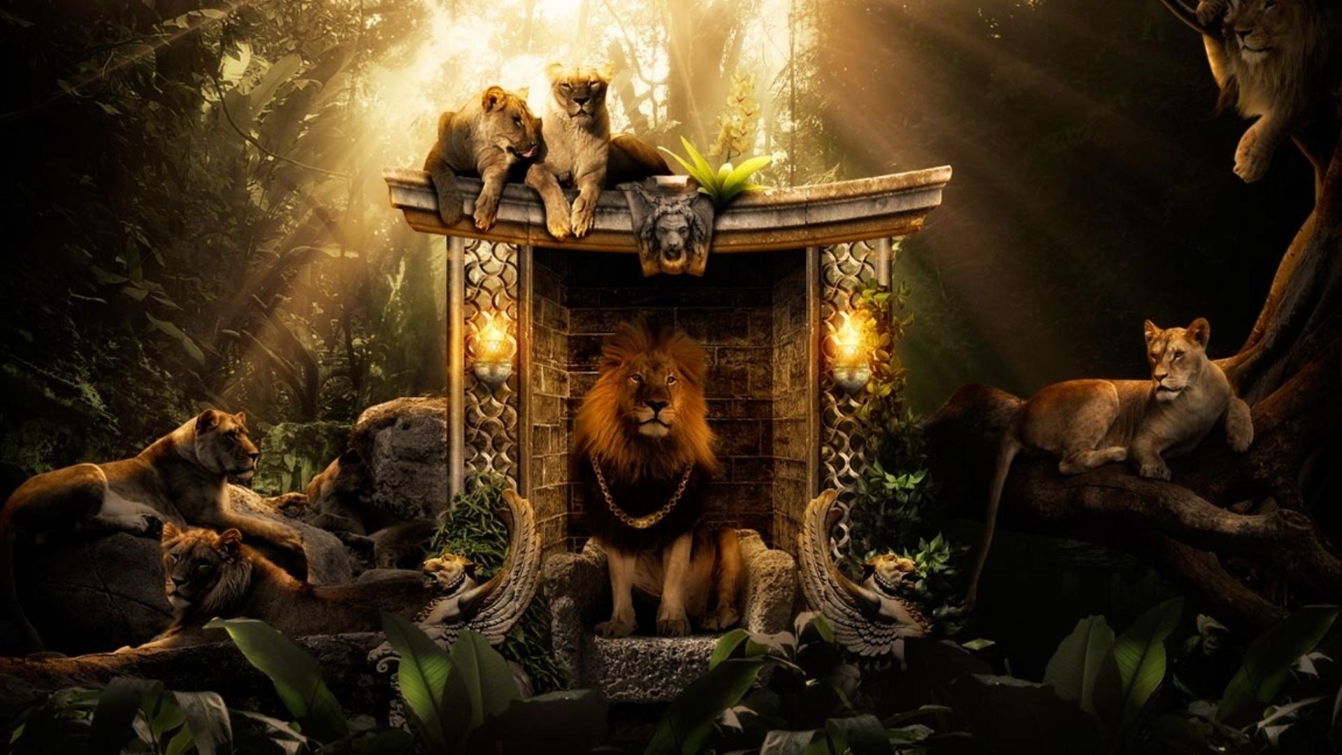 Lions in a jungle temple setting HD Wallpaper