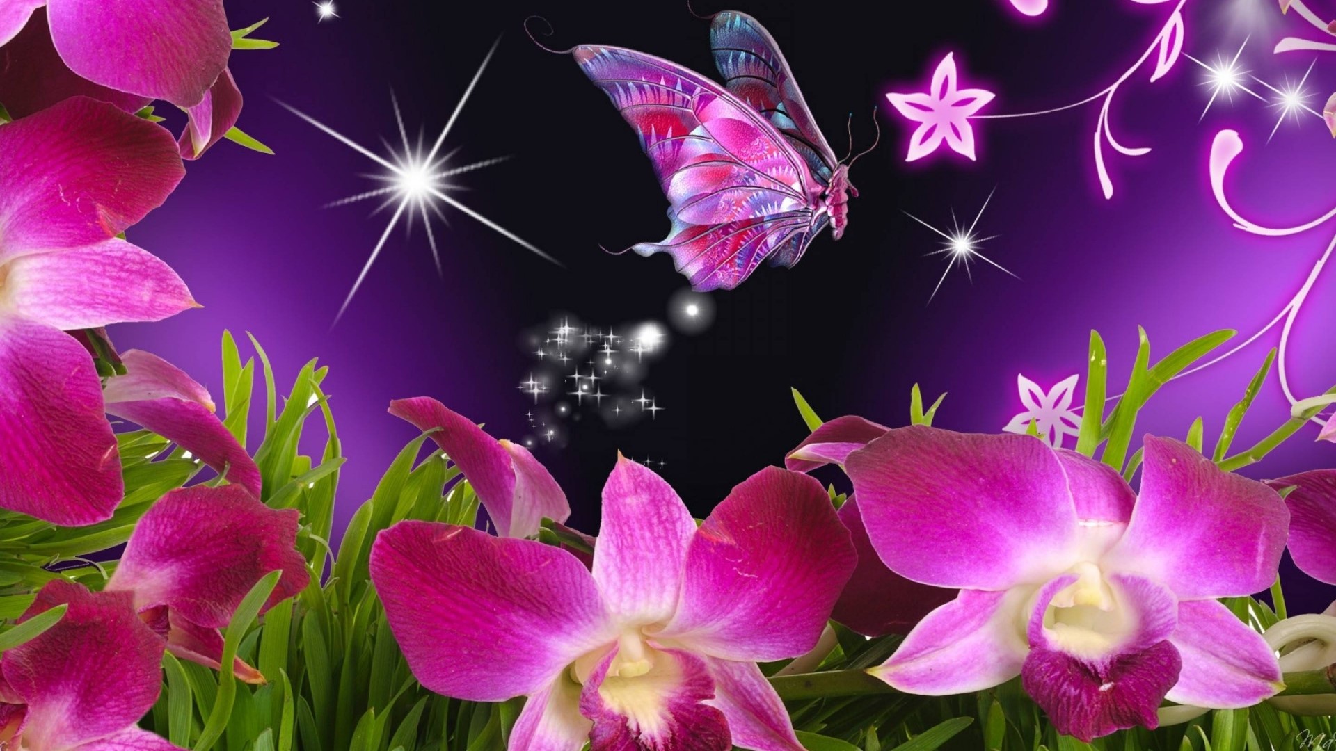 Purple orchids and a pink butterfly HD Wallpaper