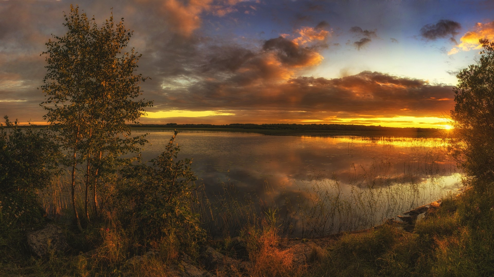 Sunset over a calm lake with trees HD Wallpaper