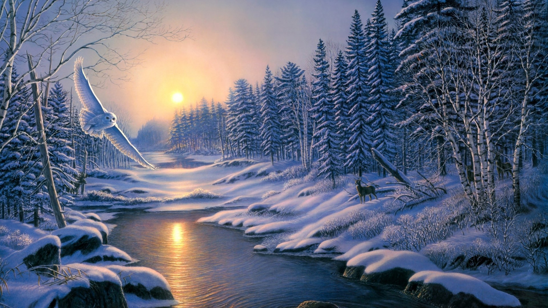 Snowy owl flying over a winter forest stream at sunset HD Wallpaper