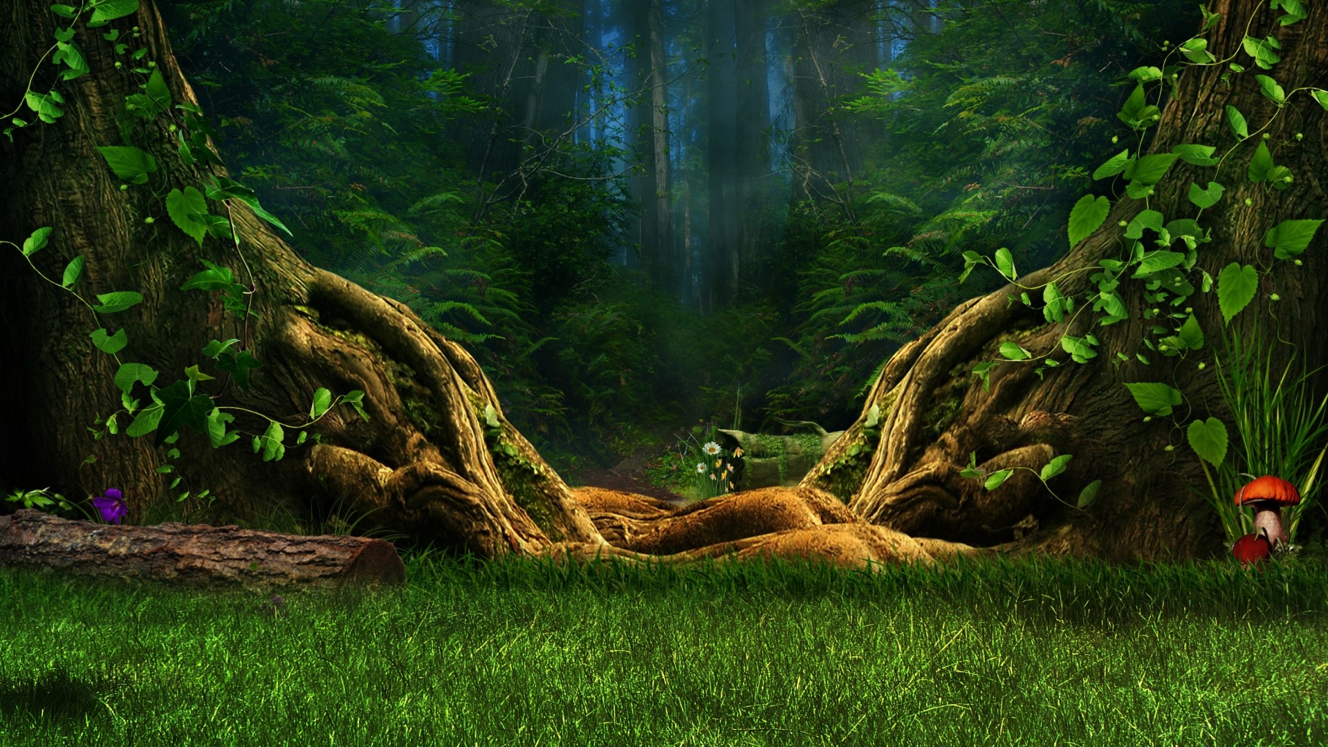 Fairy forest with ancient trees and grass HD Wallpaper