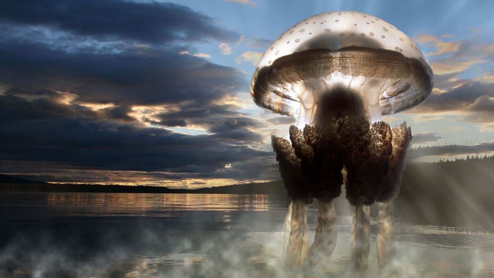 Giant Jellyfish over a Lake at Sunset HD Wallpaper