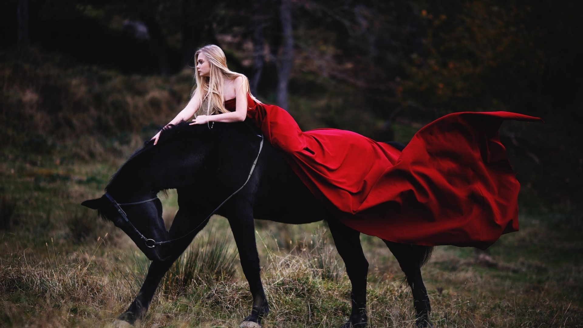 Woman in red dress riding a black horse HD Wallpaper
