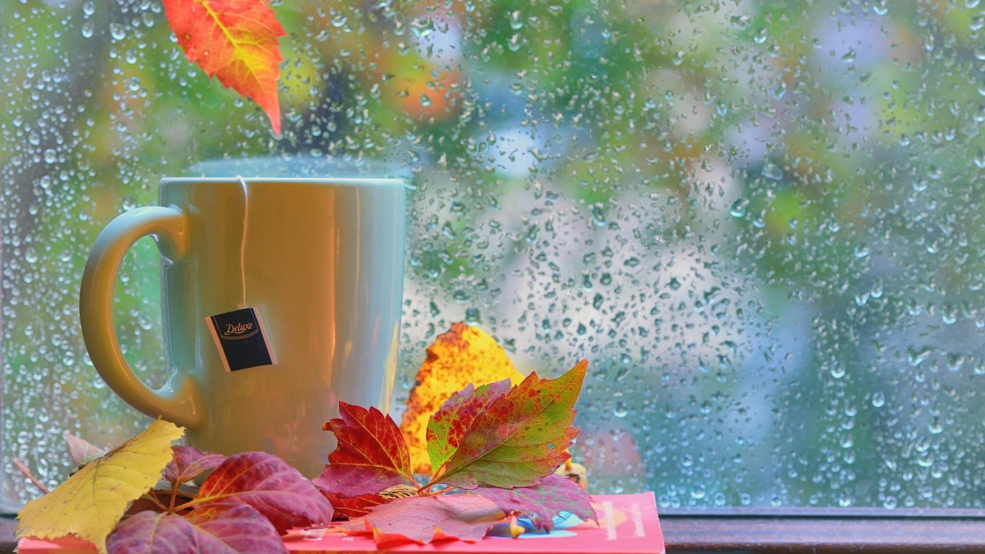 Autumn leaves and tea by a rainy window HD Wallpaper