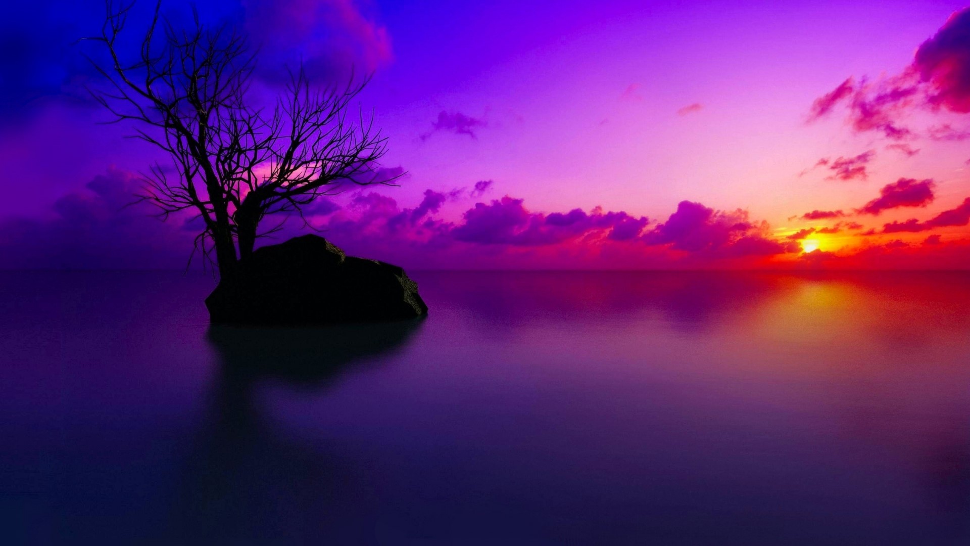 Sunset over the sea with a lone tree HD Wallpaper
