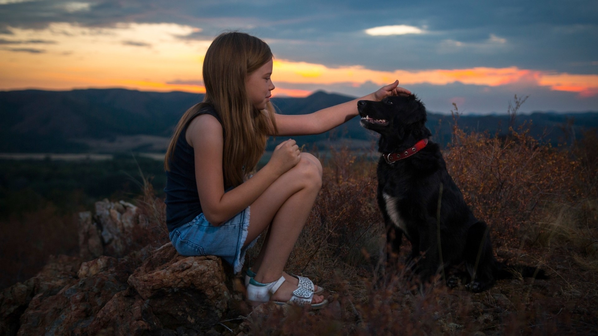 Girl petting a black dog at sunset HD Wallpaper