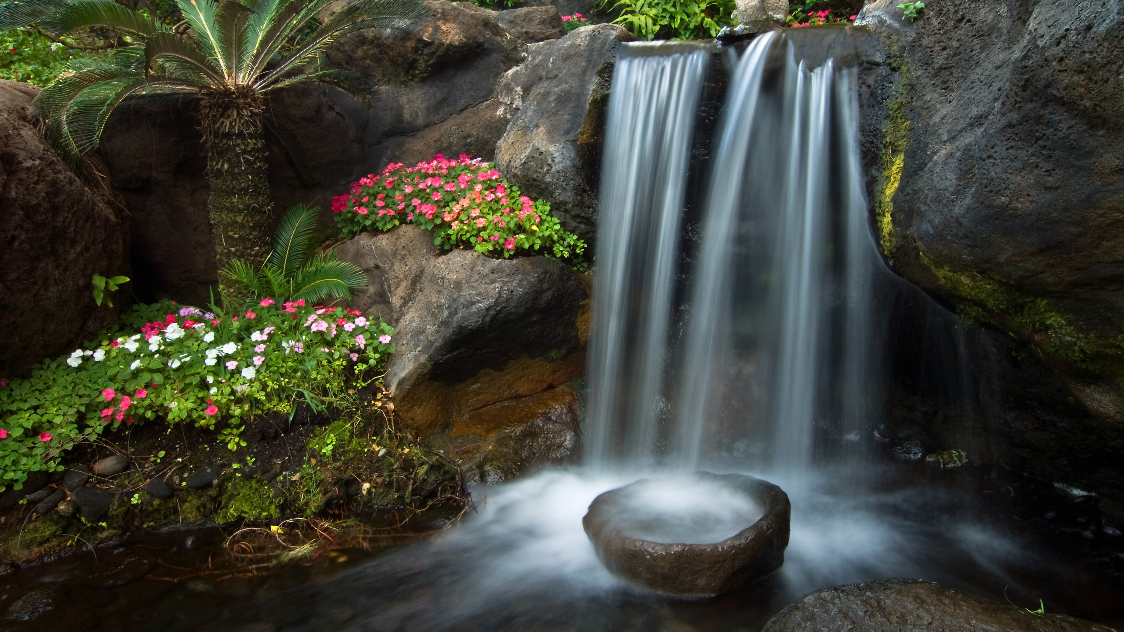4K Waterfall with Flowers and Rocks HD Wallpaper