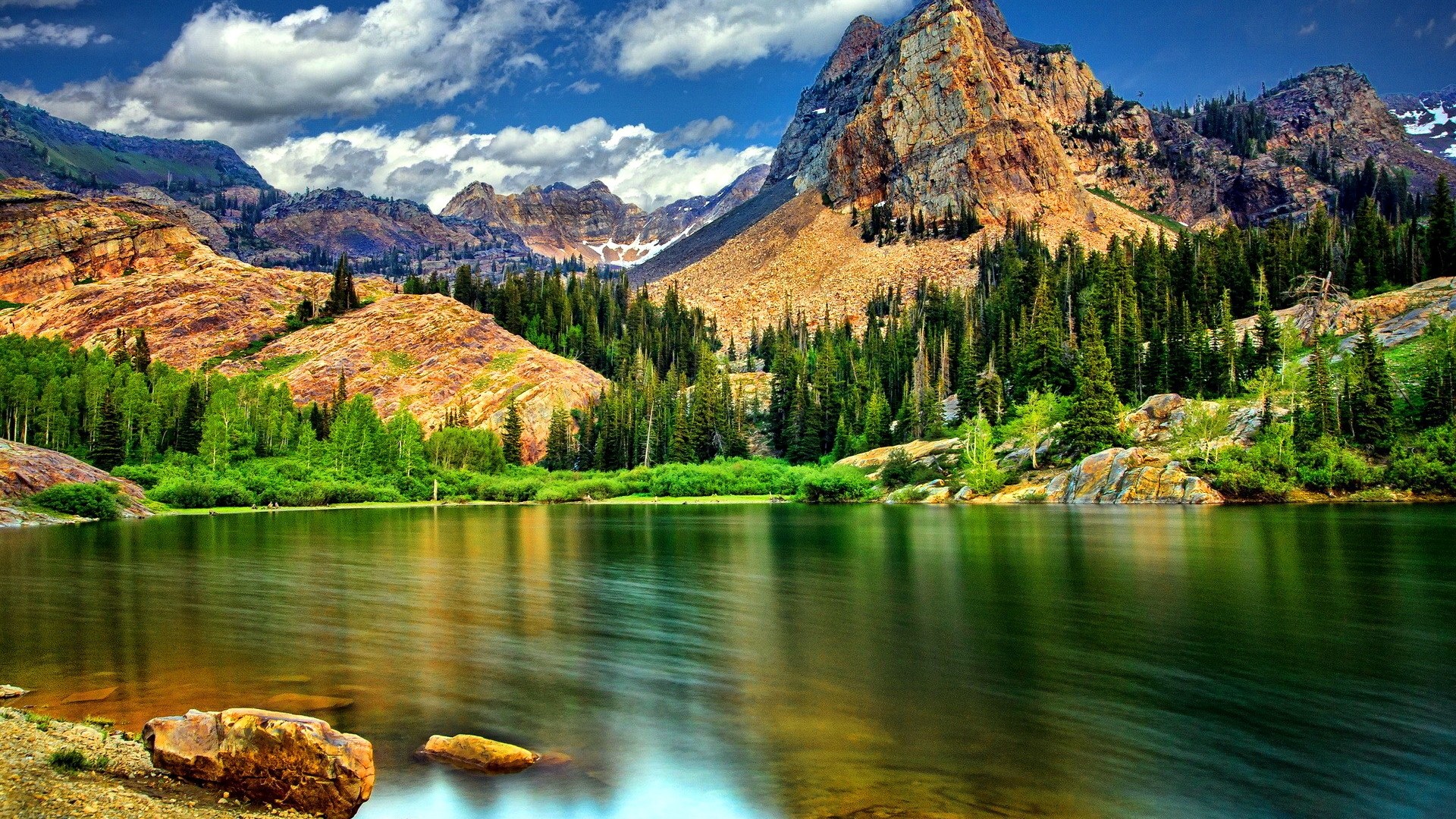 Lake and mountains with pine trees HD Wallpaper
