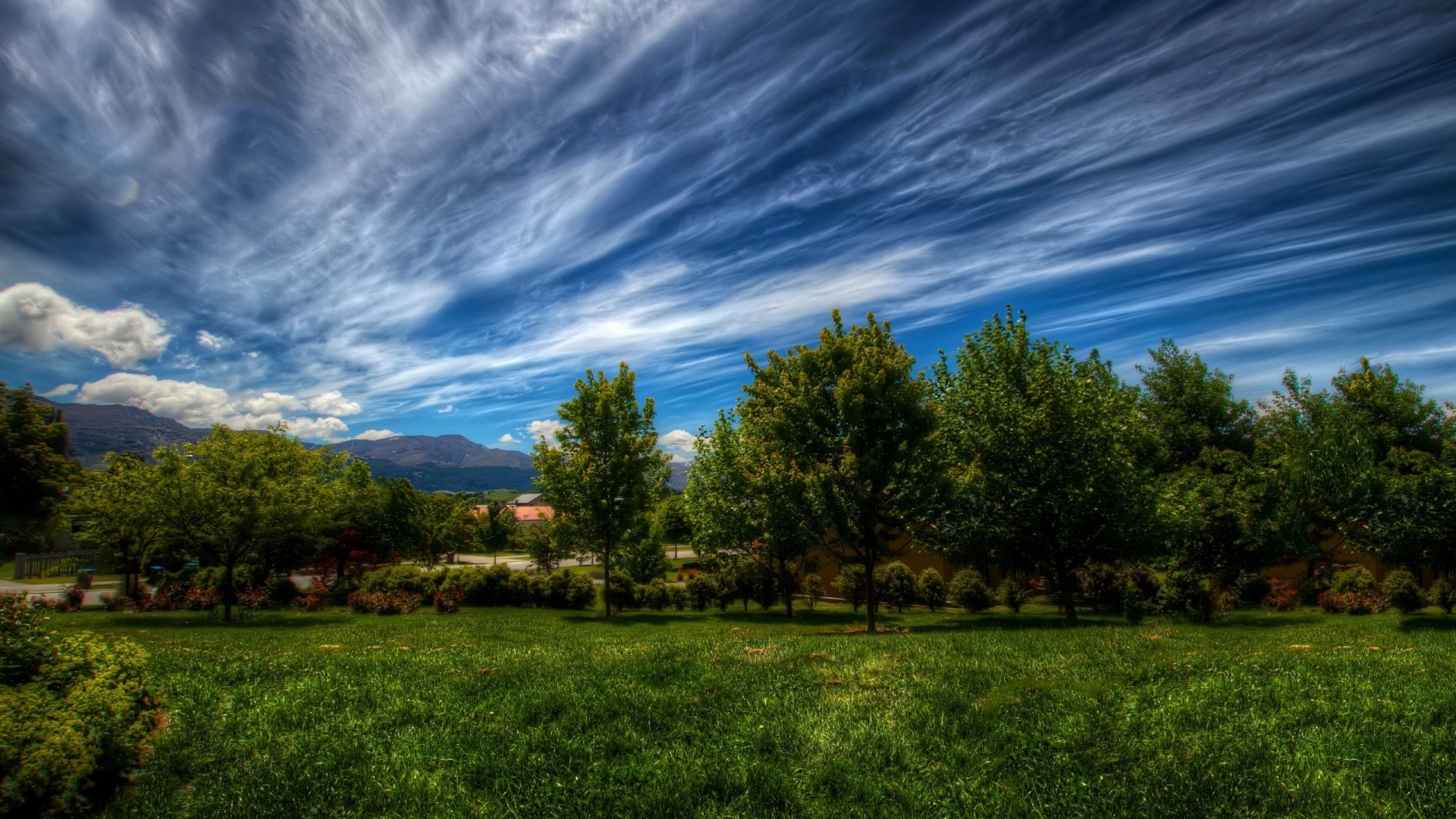 Grassy field with trees and mountains under a cloudy sky HD Wallpaper